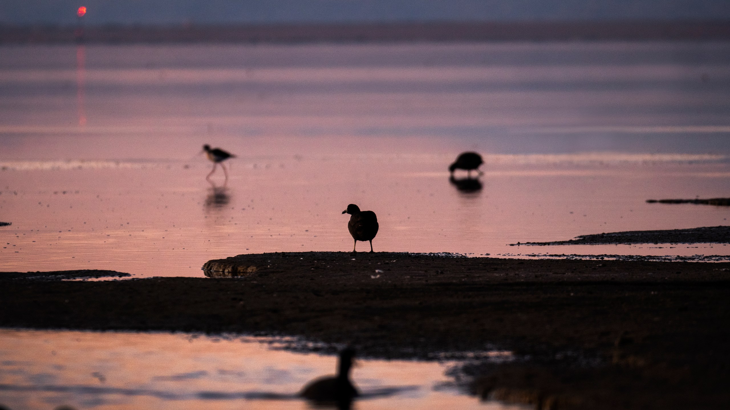 Salton Sea Colorado River