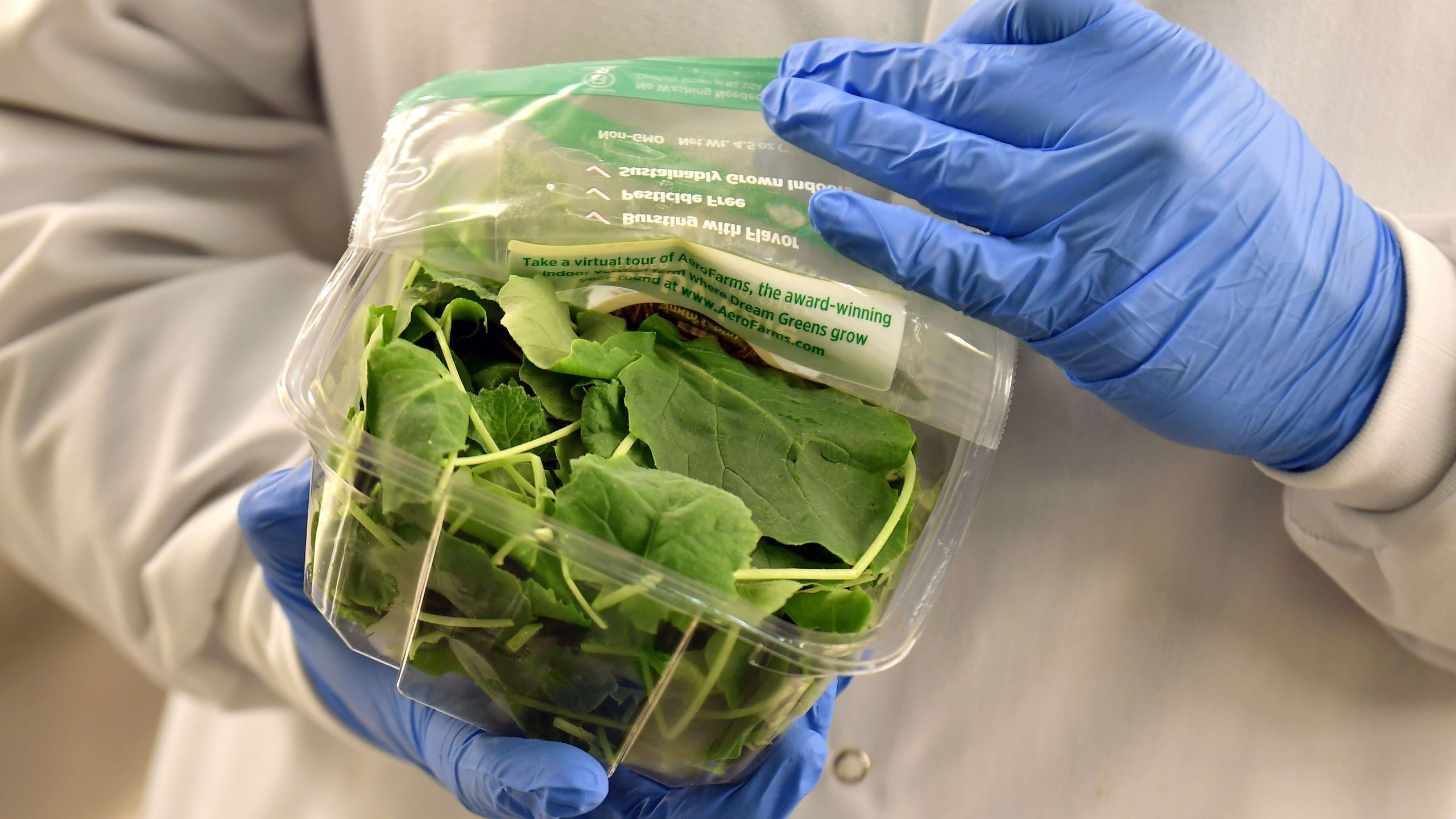 A package of baby kale is seen at a farm in Newark, New Jersey on Feb. 19, 2019. (Credit: Angela Weiss/AFP/Getty Images)