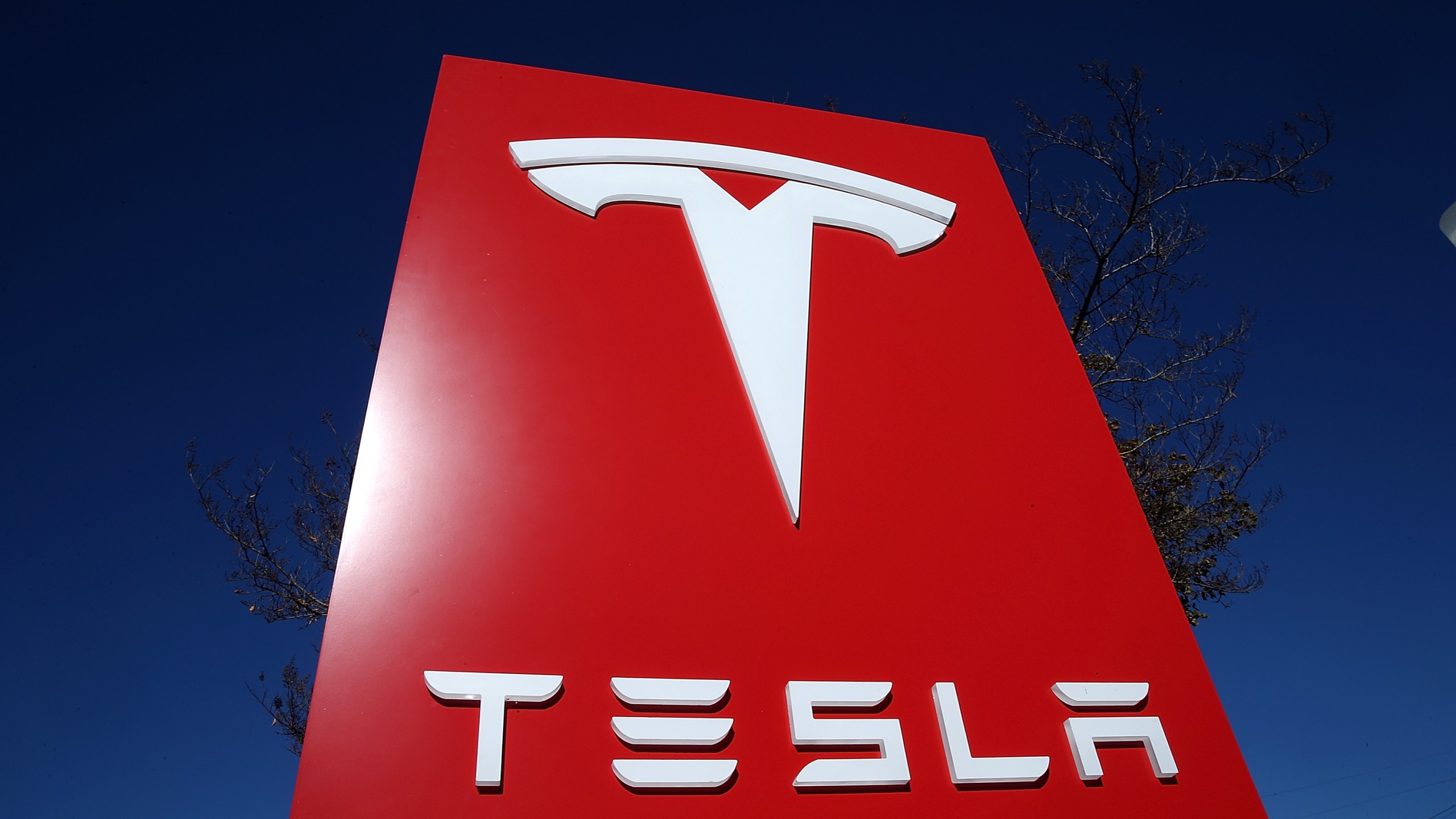 A sign is posted at a Tesla showroom on November 5, 2013 in Palo Alto, California. (Credit: Justin Sullivan/Getty Images)