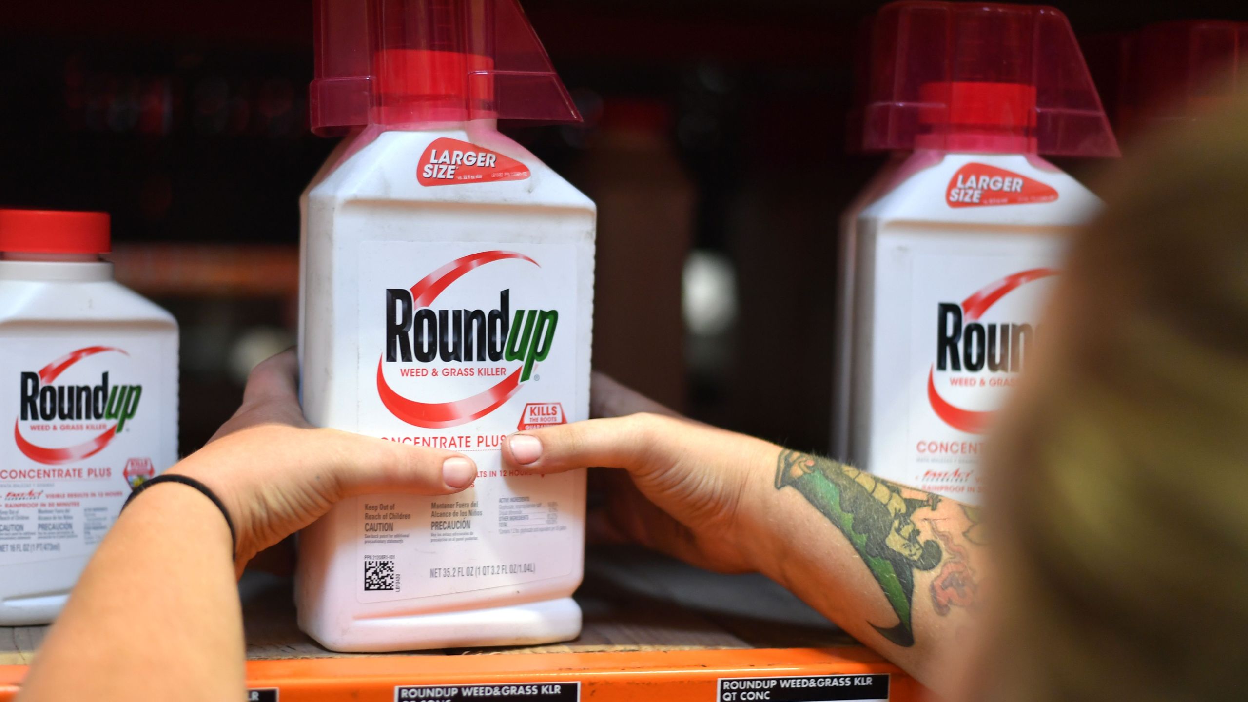 An employee adjusts Roundup products on a shelf at a store in San Rafael on July, 9, 2018. (Credit: Josh Edelson / AFP / Getty Images)