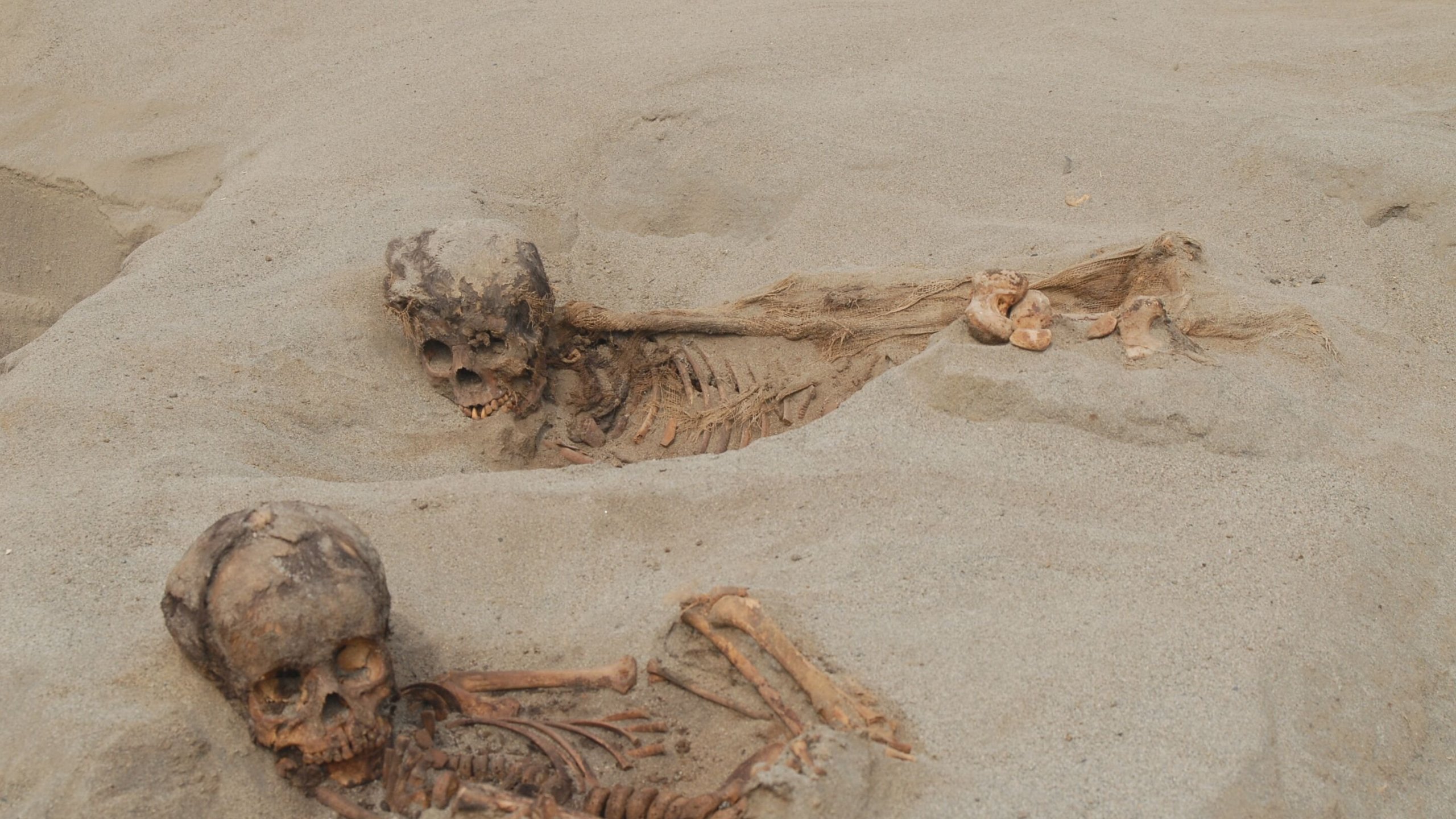 Children's remains are seen in an ancient mass sacrifice site in Peru. Researchers announced the discovery of the skeletons in April 2018. (Credit: John Verano/Tulane University via CNN)