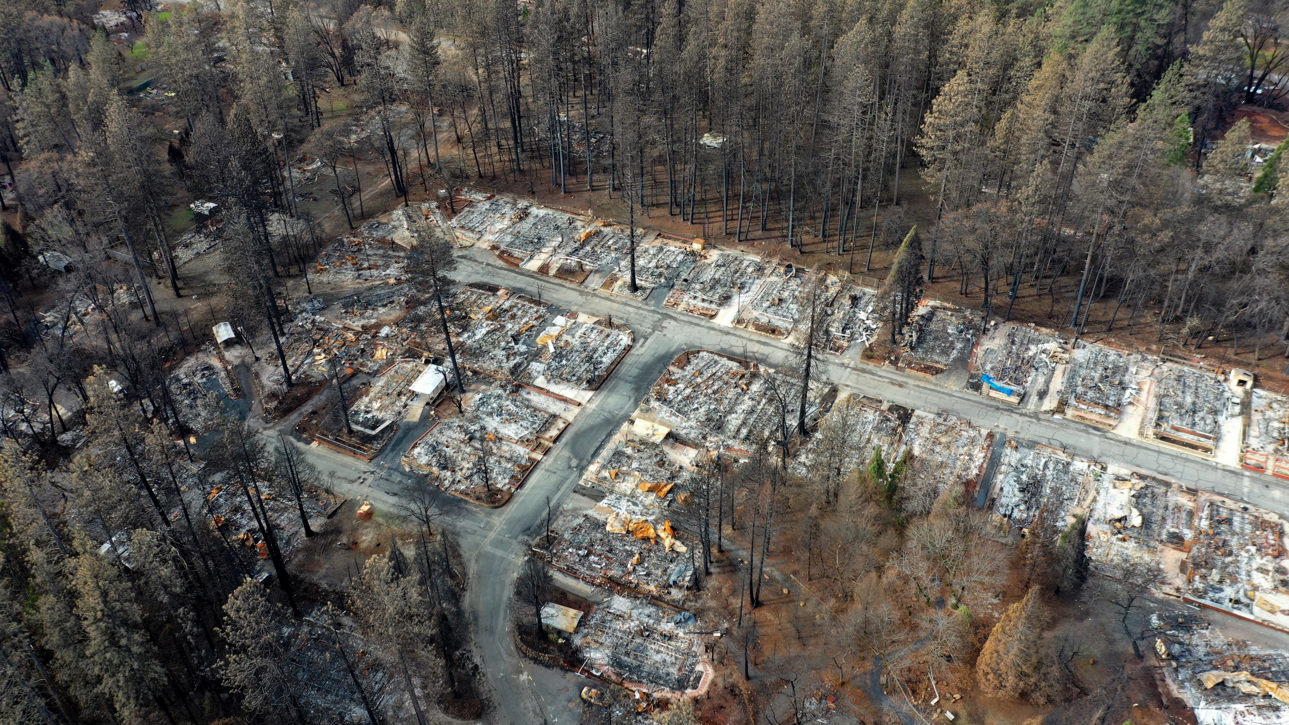 Homes in Paradise destroyed by the Camp Fire are seen in an aerial view on Feb. 11, 2019. (Credit: Justin Sullivan / Getty Images)