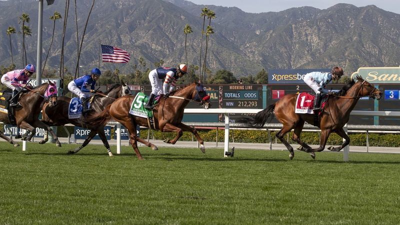 Horses run on the turf course at Santa Anita Park in March 2019. (Credit: J. Schaben / Los Angeles Times)