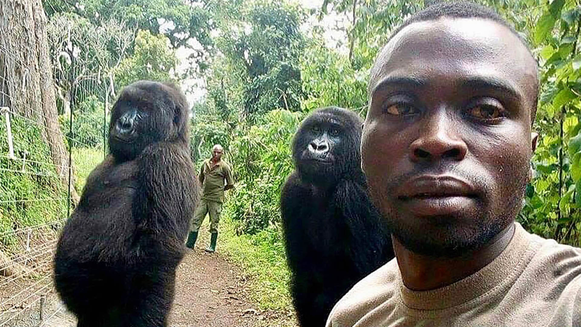 Ndakazi and Ndeze pose with a park ranger at Virunga National Park in the Democratic Republic of Congo. (Virunga National Park/Instagram)