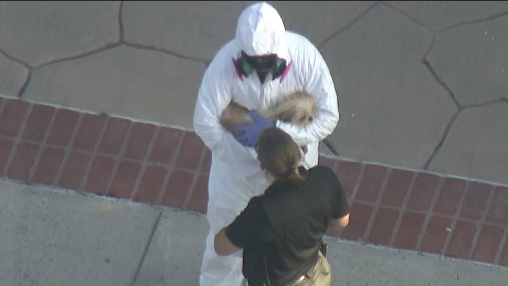 Officials donnedhazmat suits as they removed nearly 100 dogs from a home in the City of Orange on May 30, 2019. (Credit: KTLA)