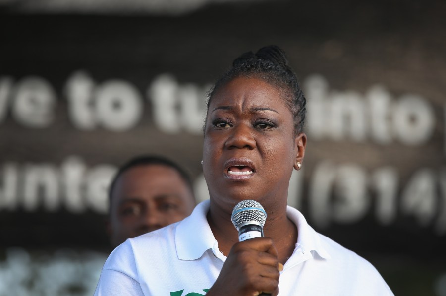 Sybrina Fulton, the mother of Trayvon Martin, speaks at Peace Fest in Forest Park on August 24, 2014 in St. Louis, Missouri. (Credit: Scott Olson/Getty Images)