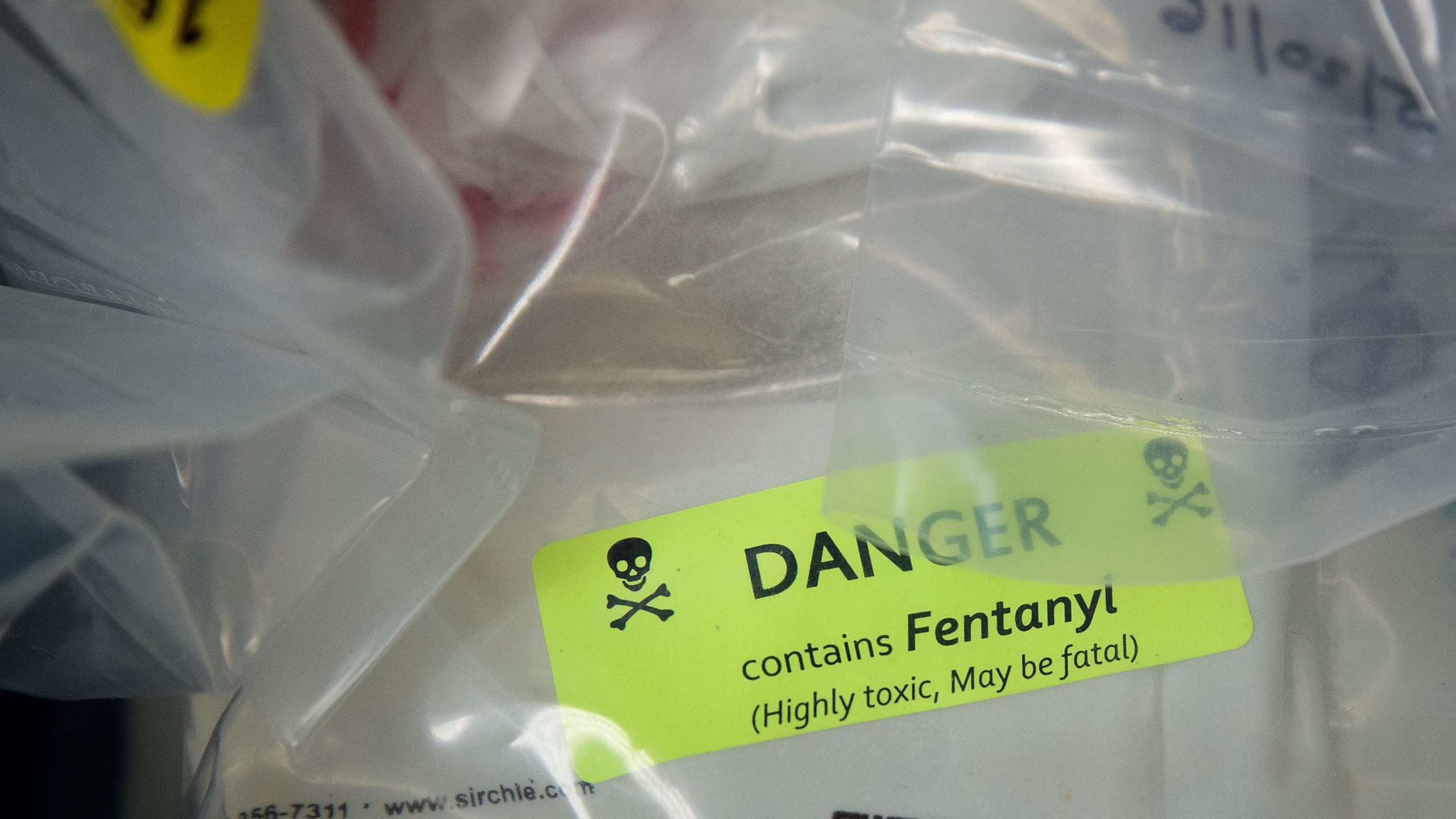 A bag labelled as fentanyl is displayed at the New York City office of the state's attorney general after a drug bust, Sept. 23, 2016. (Credit: Drew Angerer / Getty Images)