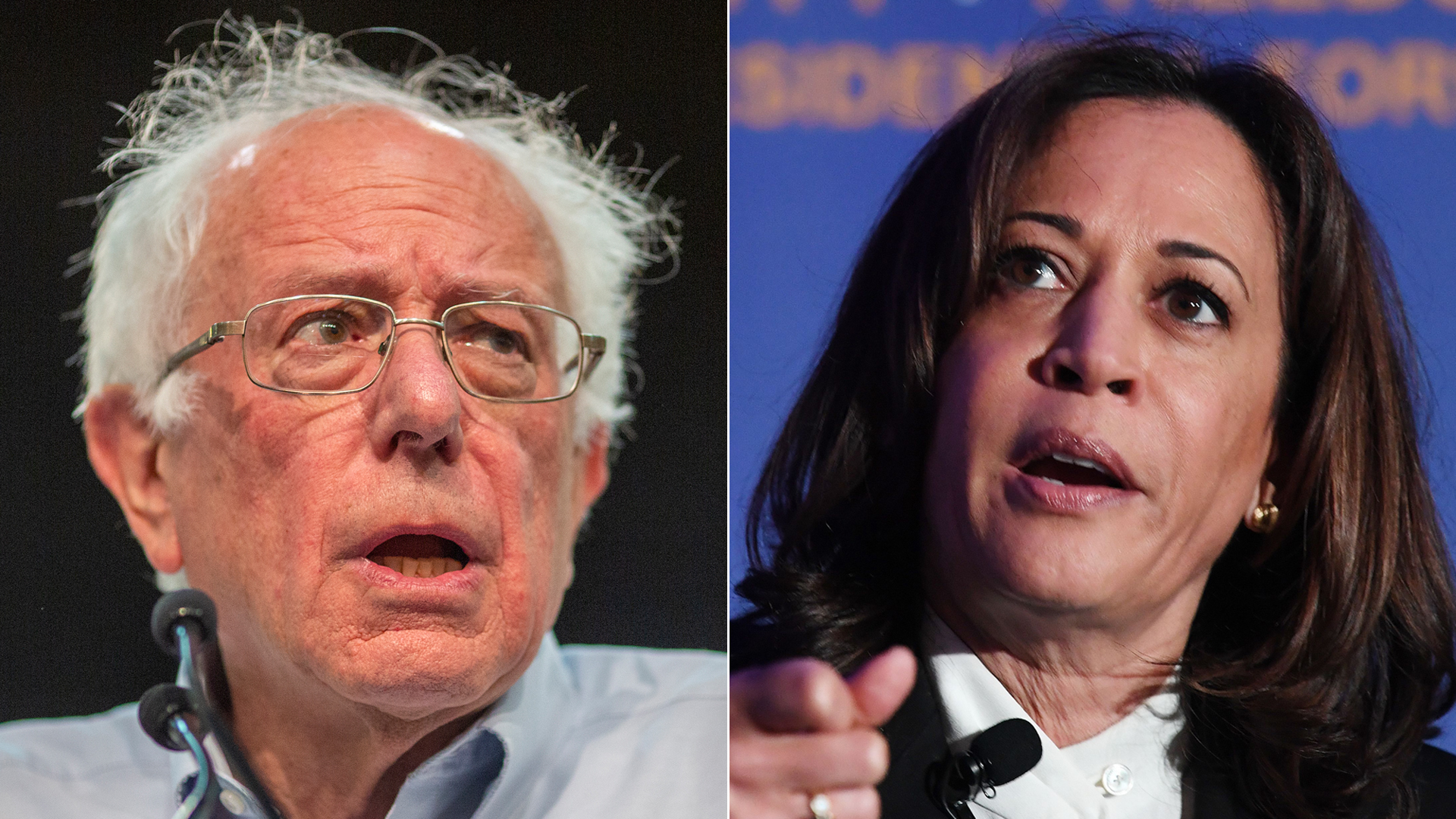 From left: Sens. Bernie Sanders and Kamala Harris speak at the Unity Freedom Presidential Forum in Pasadena on May 31, 2019. (Credit: David McNew / Mark Ralston / Getty Images)