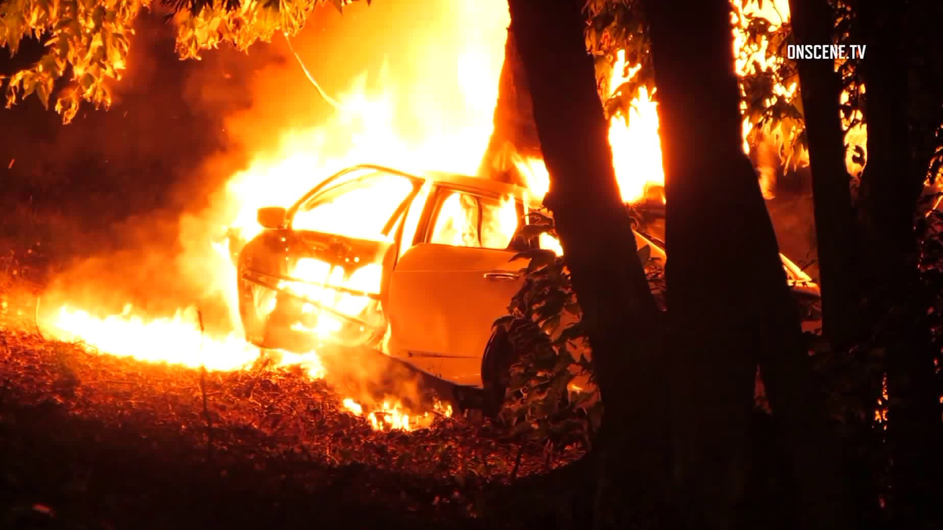 A car caught fire after crashing in Artesia on June 5, 2019. (Credit: OnScene.TV)