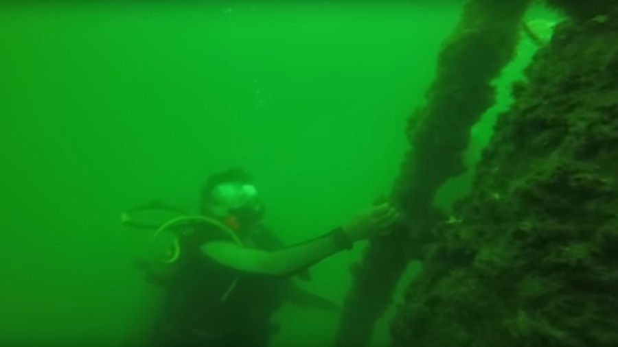 LSU Department of Oceanography & Coastal Sciences Professor Nancy Rabalais dives an area in the Gulf of Mexico with low oxygen levels called the dead zone. (Credit: Cameron Thrash, LSU)