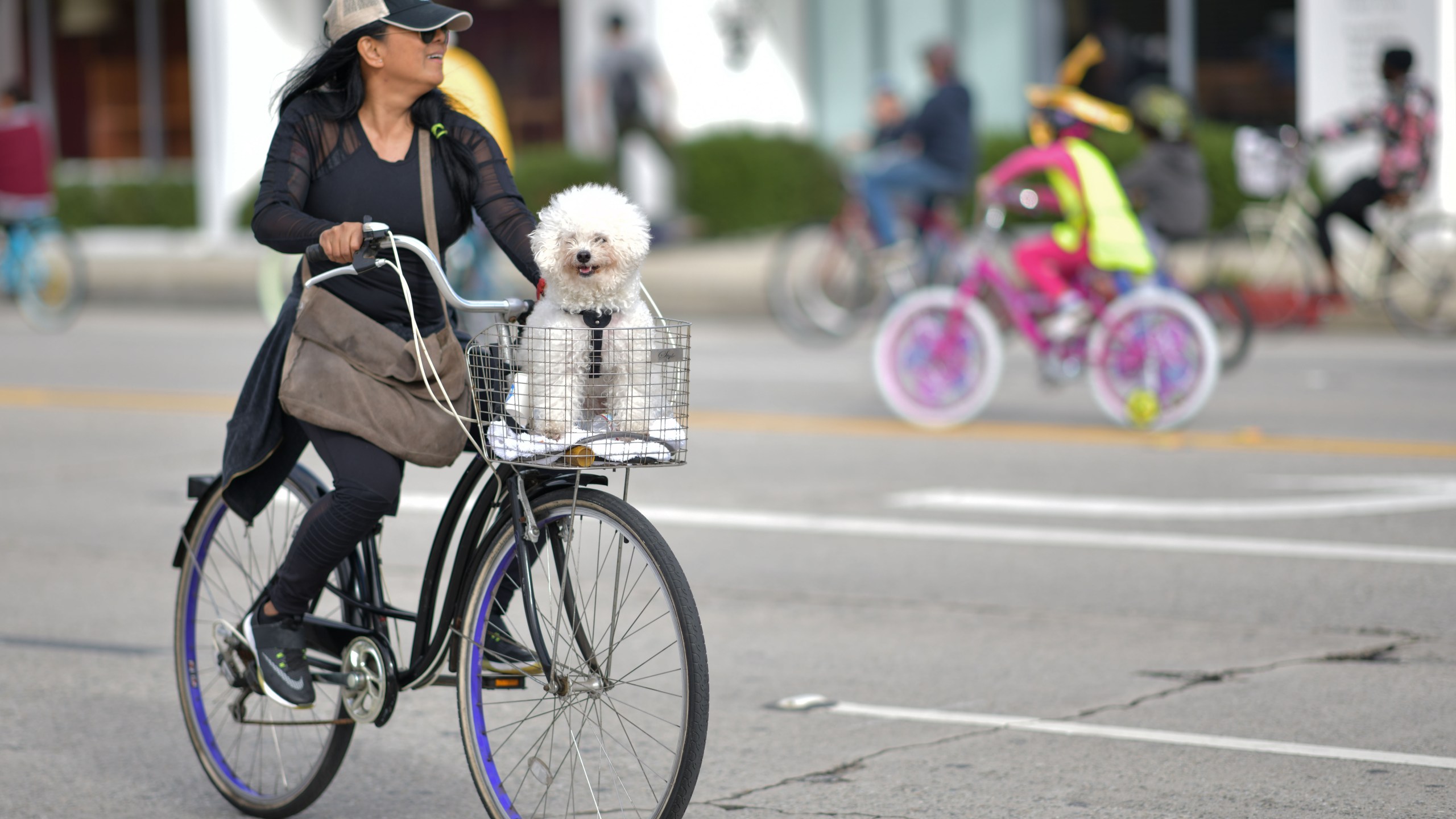 A woman rides her bicycle with a dog in the basket during a CicLAvia event in Culver City on March 3, 2019. (Credit: CHRIS DELMAS/AFP/Getty Images)