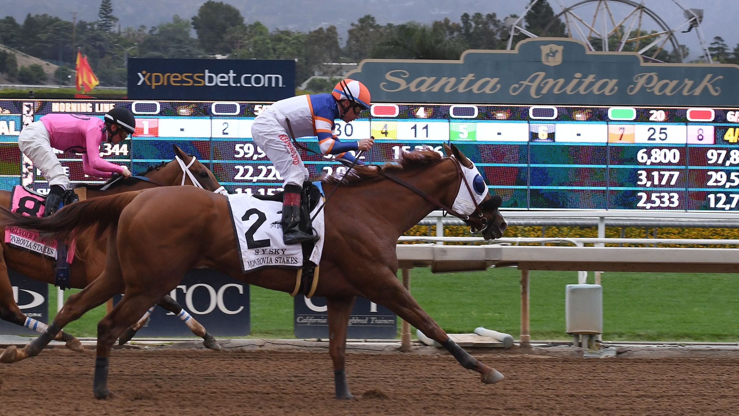 Horses race at Santa Anita Park on May 26, 2019 as controversy continues over the number of horse deaths at the track in Arcadia. (Credit: MARK RALSTON/AFP/Getty Images)