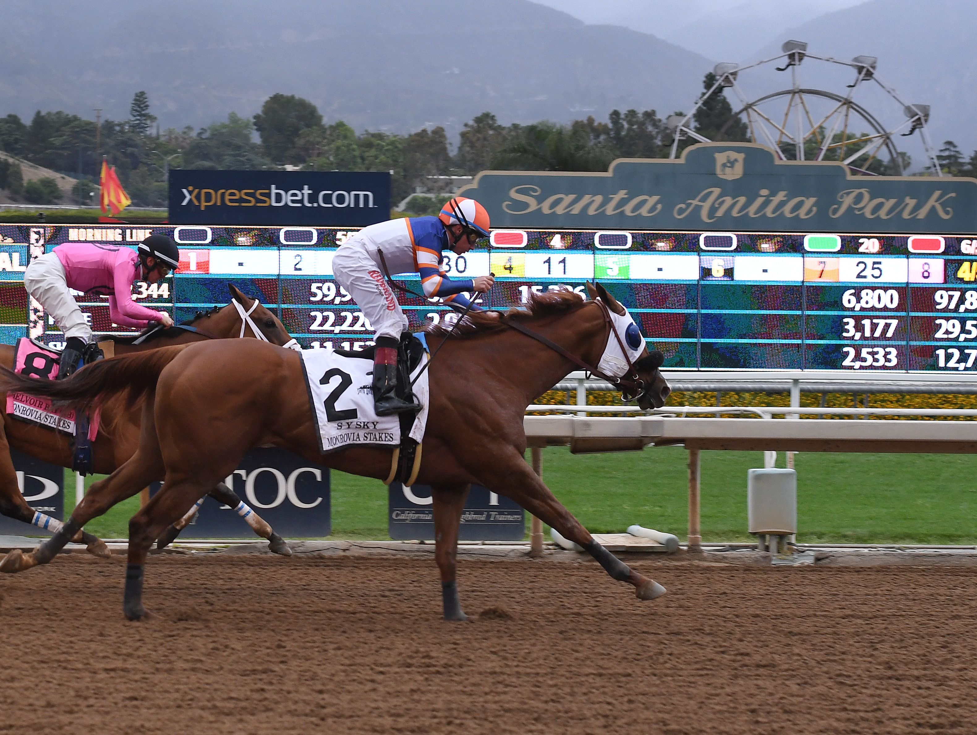 Horses race at Santa Anita Park on May 26, 2019 as controversy continues over the number of horse deaths at the track in Arcadia. (Credit: MARK RALSTON/AFP/Getty Images)