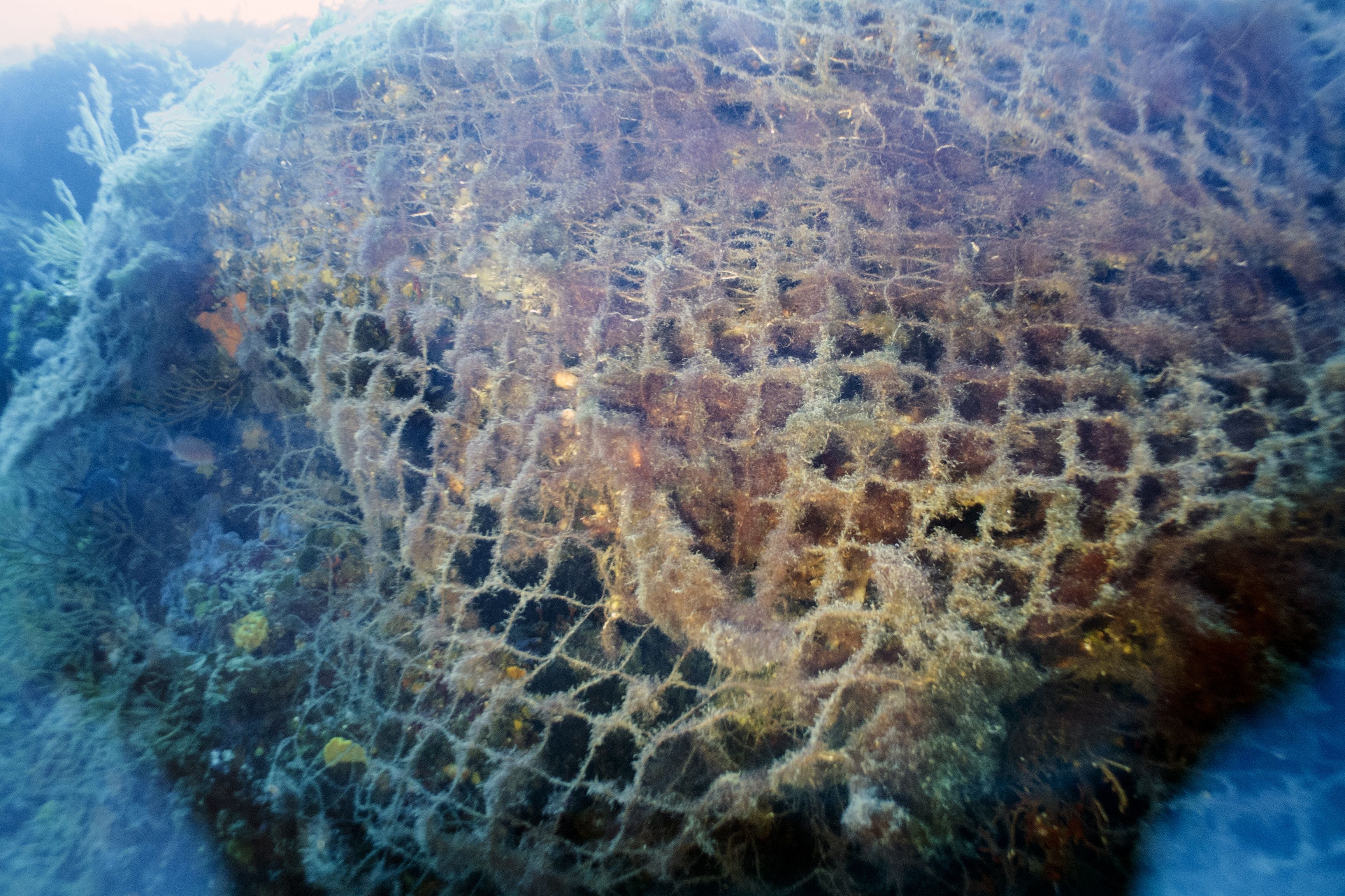 A fishing net is left abandoned on the seabed photographed on July 20, 2017, near Ile du Frioul, off the coast of the southern mediterranean city of Marseille. (Credit: BORIS HORVAT/AFP/Getty Images)