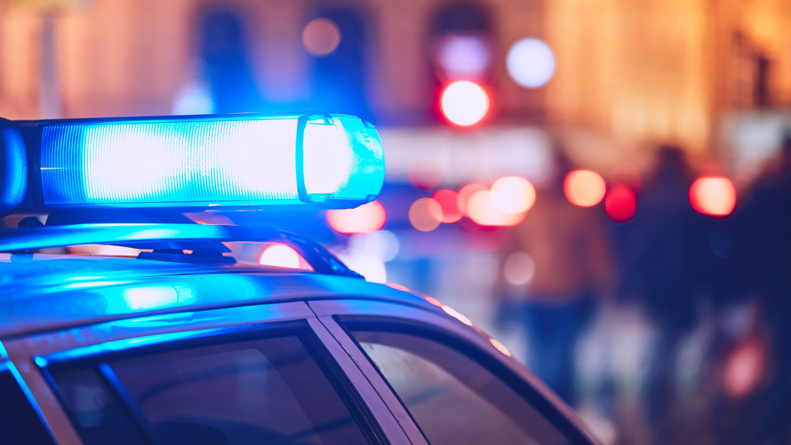 A police vehicle is seen in a file photo. (Credit: Getty Images)