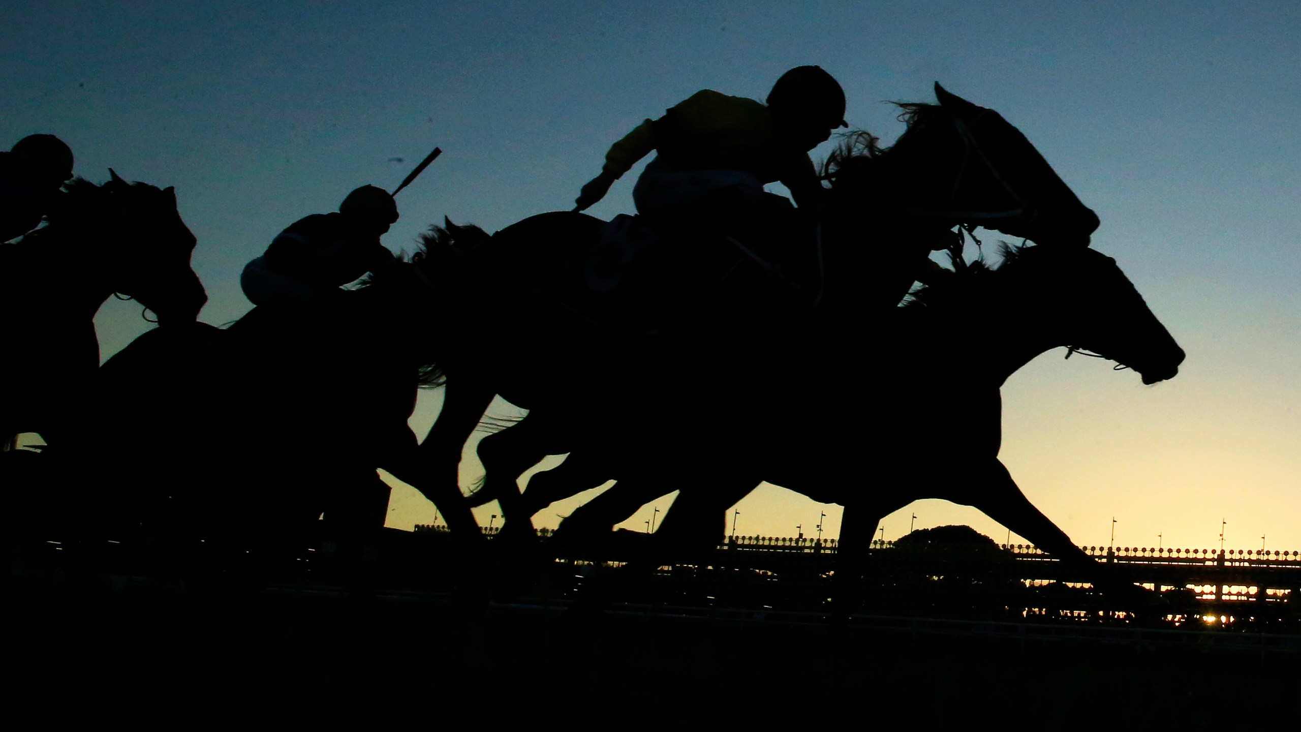 Horses race in race 9 during Sydney Racing at Royal Randwick Racecourse on May 25, 2019 in Sydney, Australia. (Credit: Mark Evans/Getty Images)