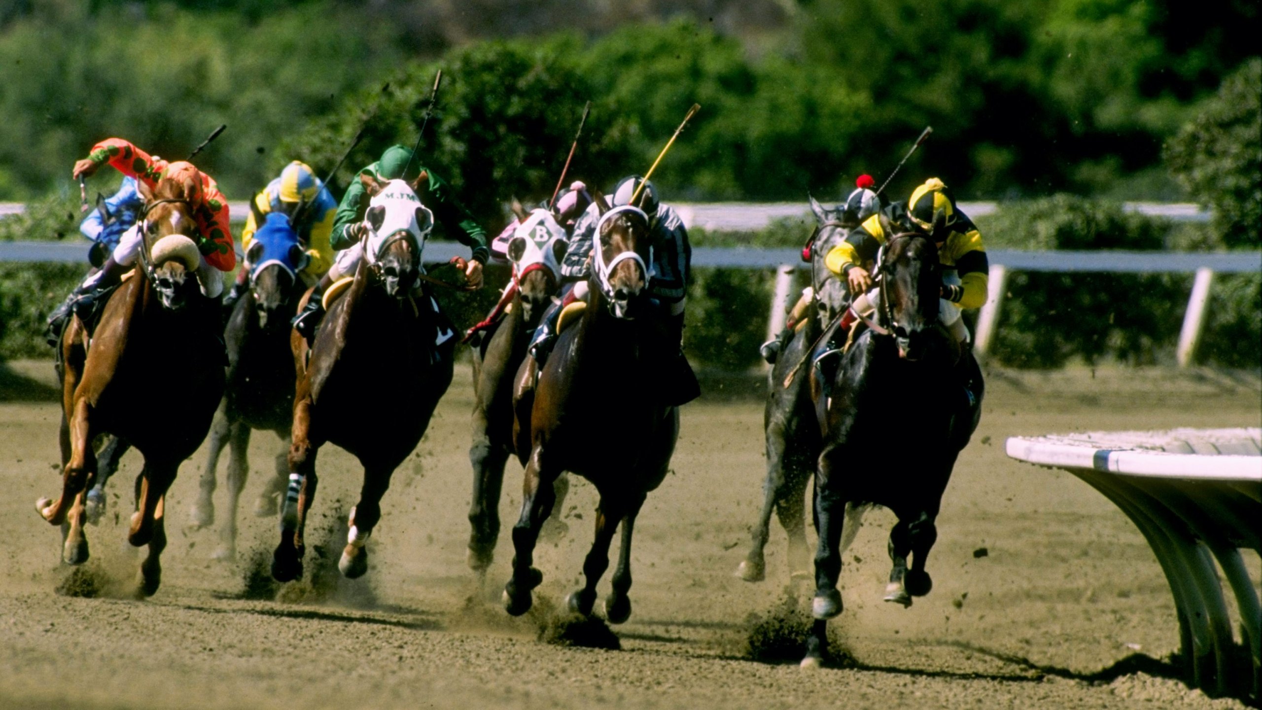 This file photo shows a horse race at Del Mar Racetrack. (Credit: Tim DeFrisco / Getty Images)