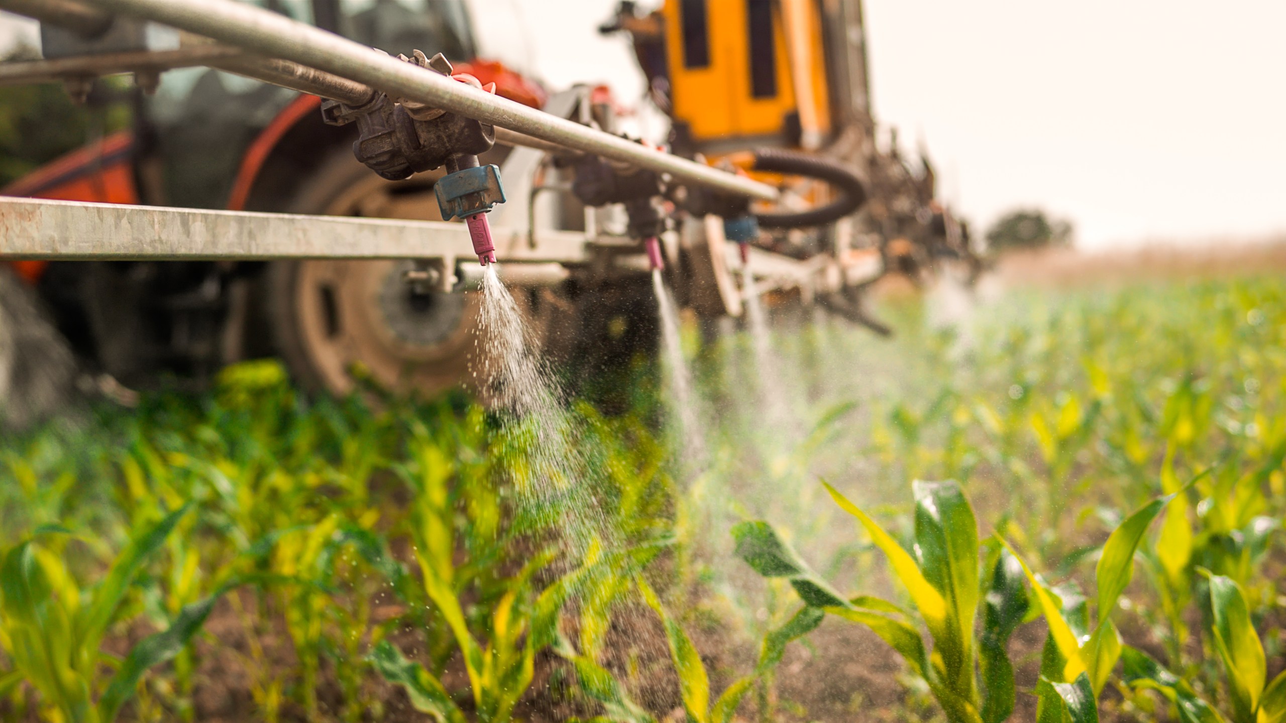 Crop sprayer spraying pesticides on crops in field. (Credit: simonkr / Getty Images)