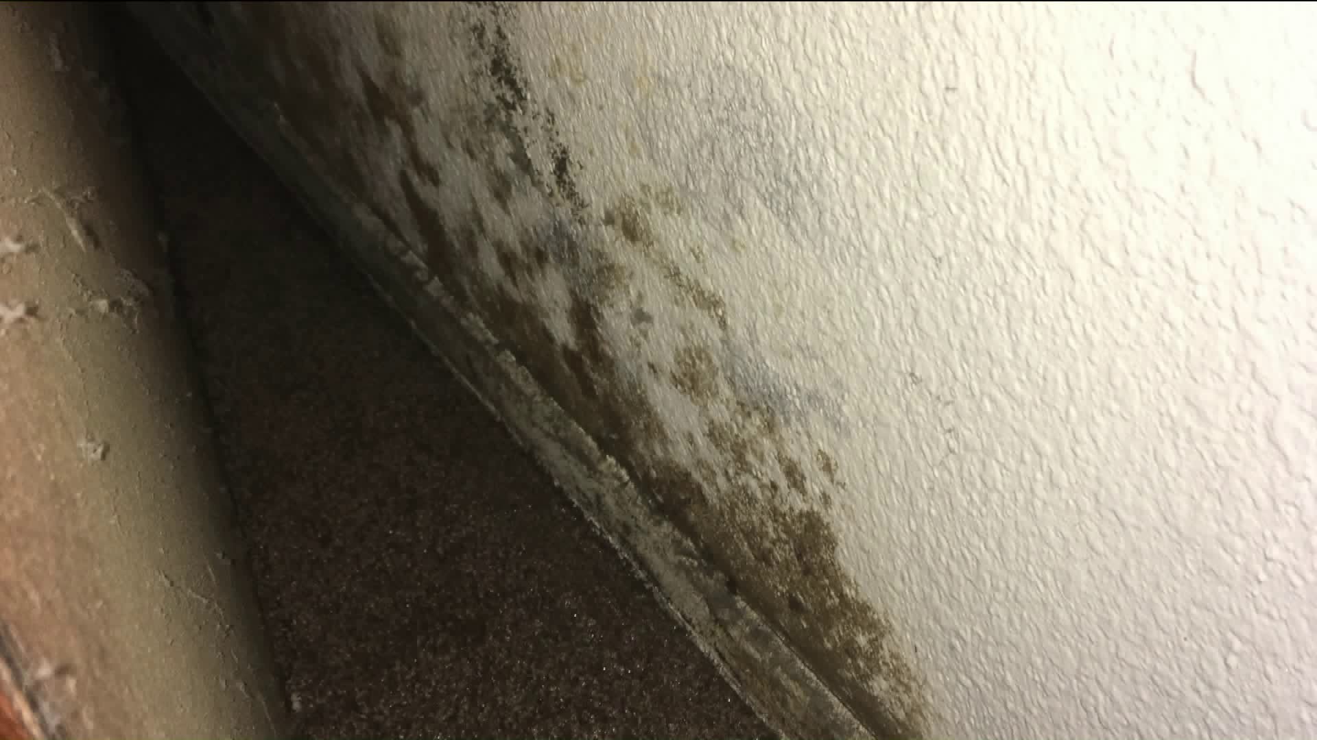 Black mold is seen inside an apartment at Seasons Senior Apartments in Ontario on July 17, 2019. (Credit: KTLA)