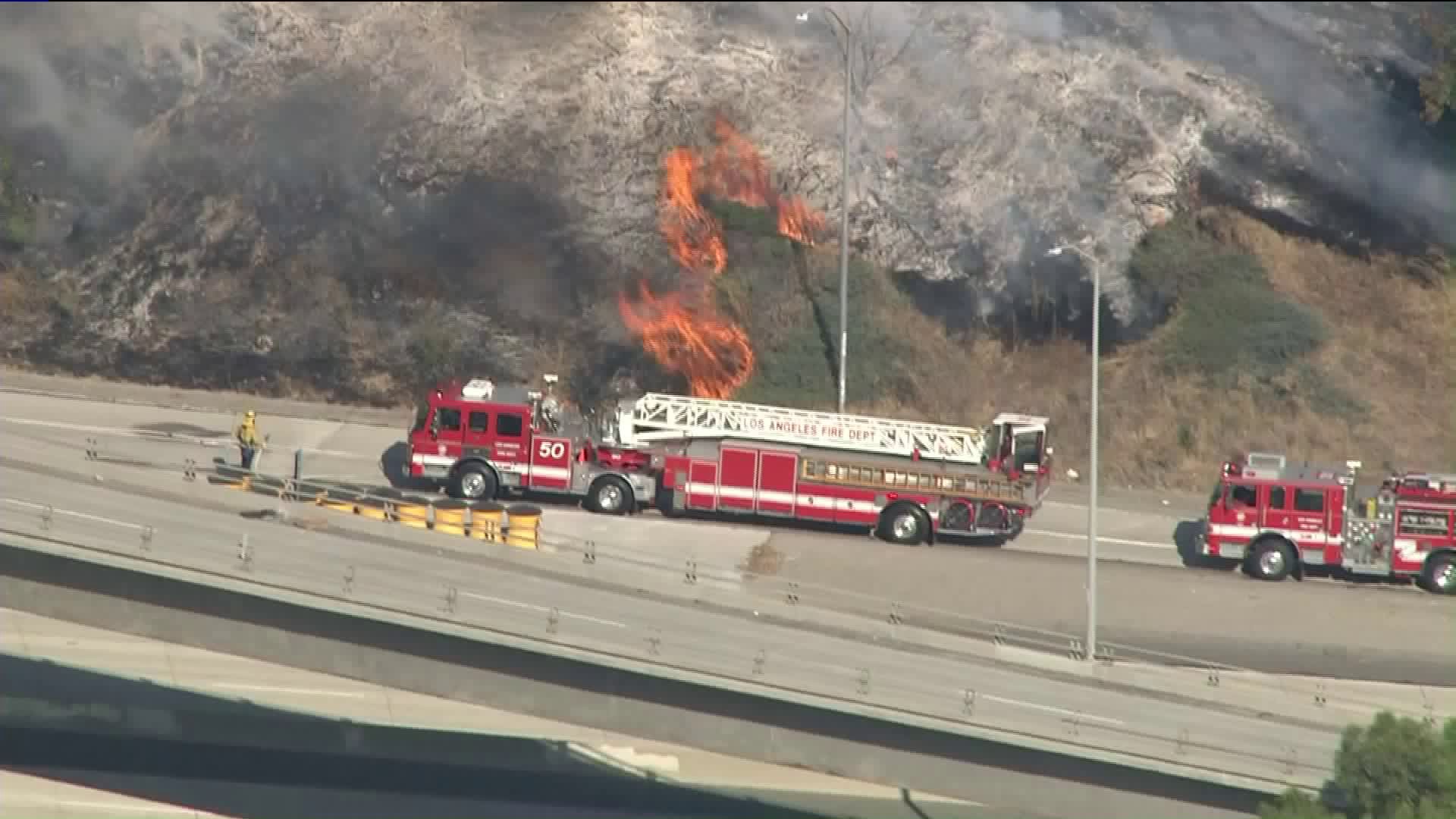 Firefighters battle a brush fire in Eagle Rock on Aug. 25, 2019. (Credit: KTLA)