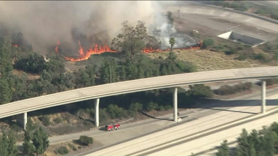 Firefighters battle a brush fire in Eagle Rock on Aug. 25, 2019. (Credit: KTLA)