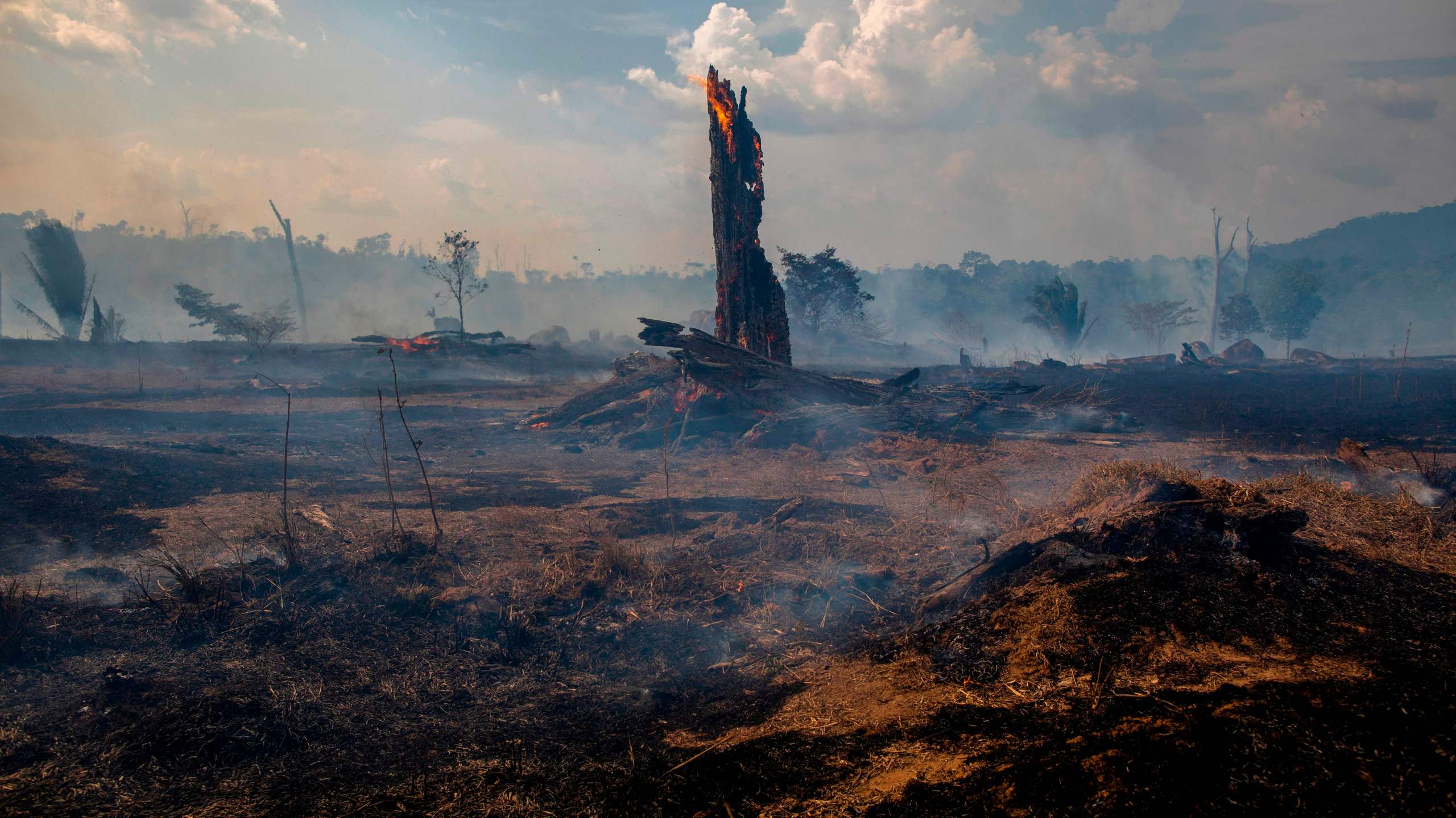 View of a burnt area of forest in Altamira, Para state, Brazil, oin the Amazon basin, on August 27, 2019. (Credit: JOAO LAET/AFP/Getty Images)