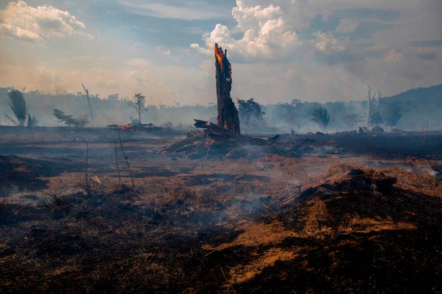 View of a burnt area of forest in Altamira, Para state, Brazil, oin the Amazon basin, on August 27, 2019. (Credit: JOAO LAET/AFP/Getty Images)