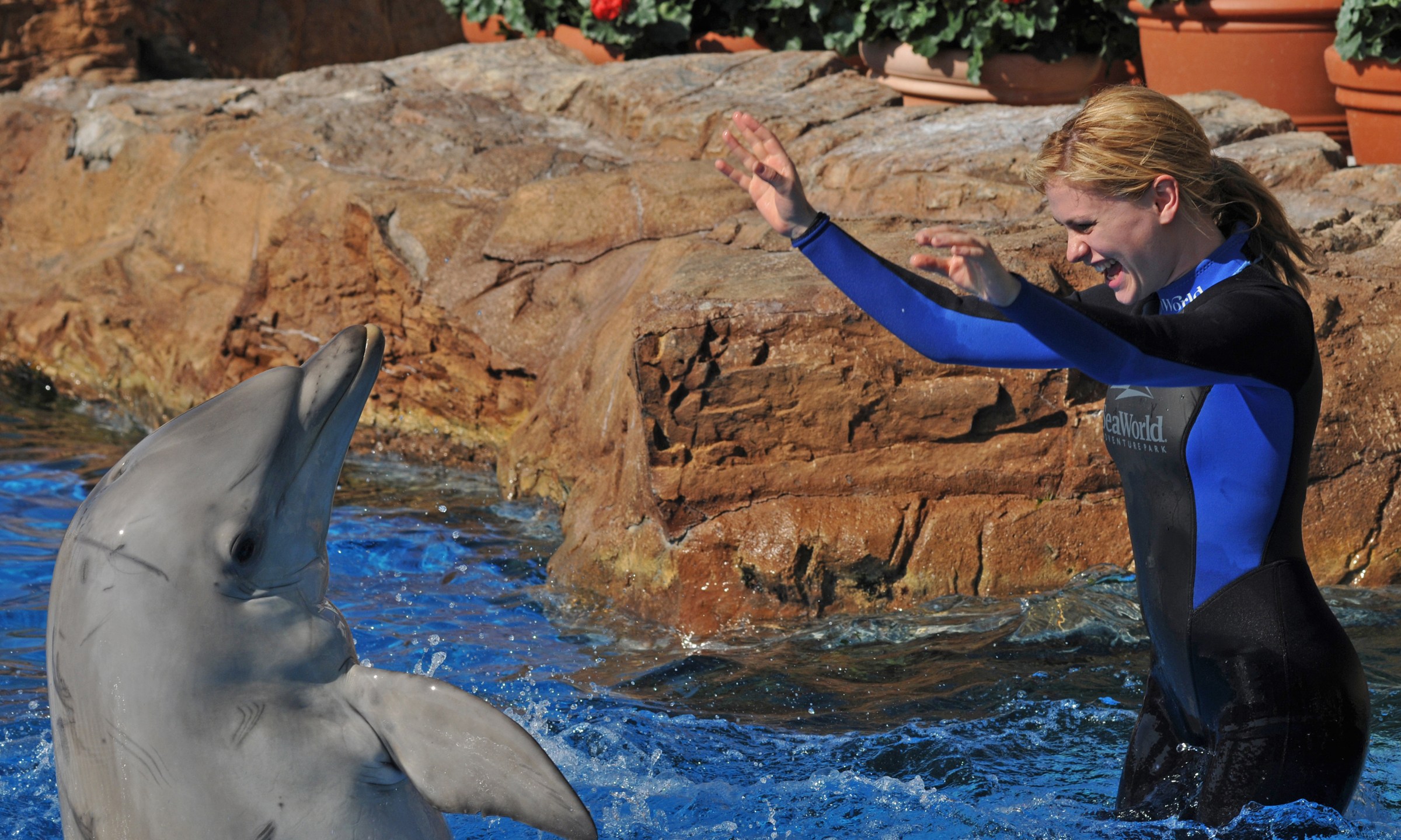 In this handout from SeaWorld San Diego, "True Blood" actor Anna Paquin swims with a bottlenose dolphin during a Dolphin Interaction Program at SeaWorld San Diego's Penguin Encounter July 26, 2009, in San Diego. (Credit: Bob Couey-SeaWorld via Getty Images)