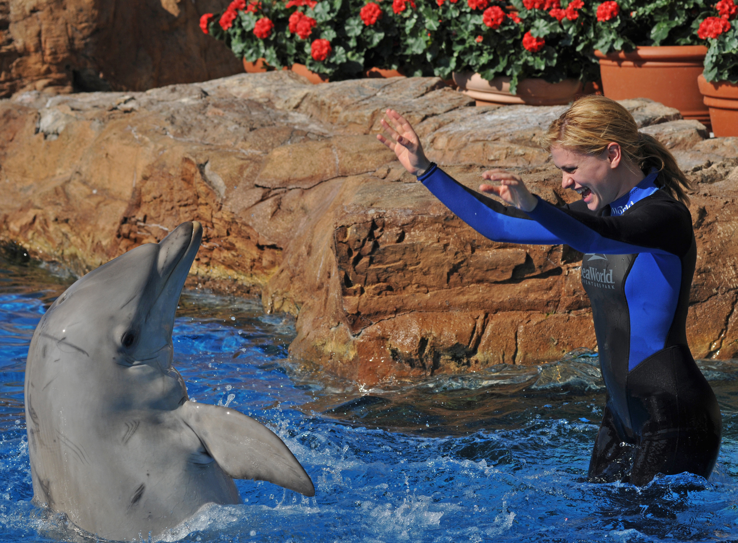 In this handout from SeaWorld San Diego, "True Blood" actor Anna Paquin swims with a bottlenose dolphin during a Dolphin Interaction Program at SeaWorld San Diego's Penguin Encounter July 26, 2009, in San Diego. (Credit: Bob Couey-SeaWorld via Getty Images)