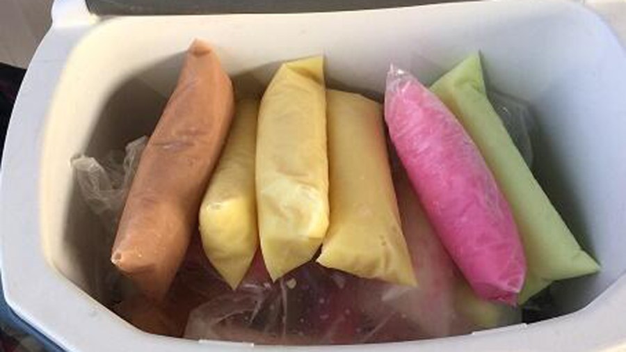 More than nine pounds of methamphetamine were found disguised as frozen Ice Pops, U.S. Customs and Border Protection agents said.