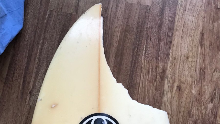 Max Keliikipi said a shark "bit a huge chunk off" his board. (Credit: Courtesy Max Keliikipi)