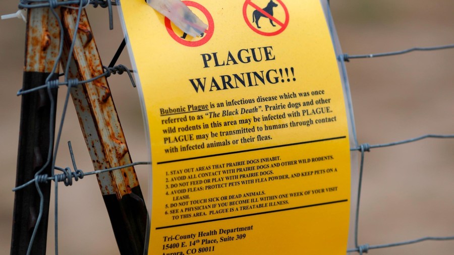 A sign warns of plague in Colorado. (Credit: David Zalubowski/AP)