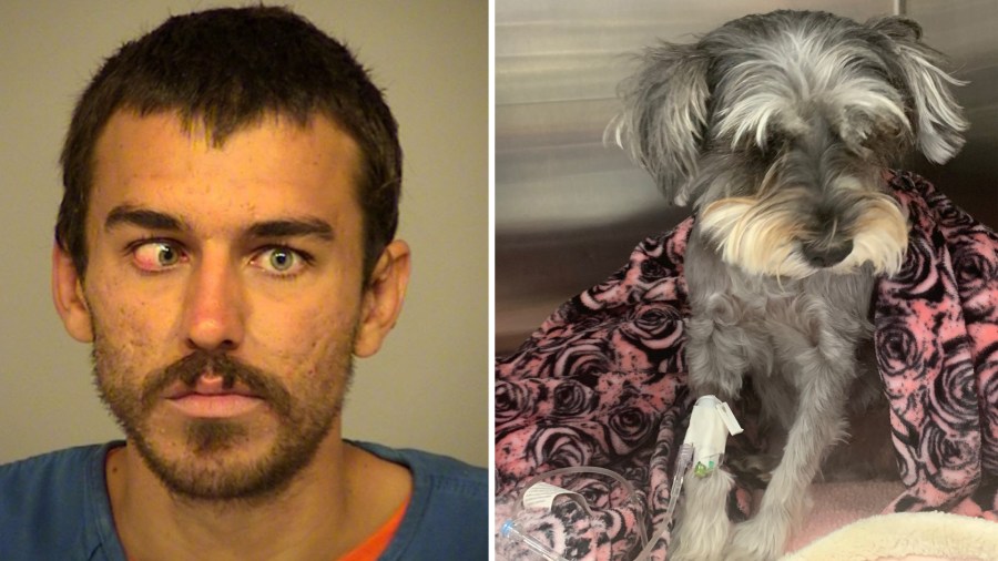 Dylan McTaggert and a dog named Sophie that he's suspected of kicking are seen in photos provided by the Port Hueneme Police Department on Aug. 12, 2019.