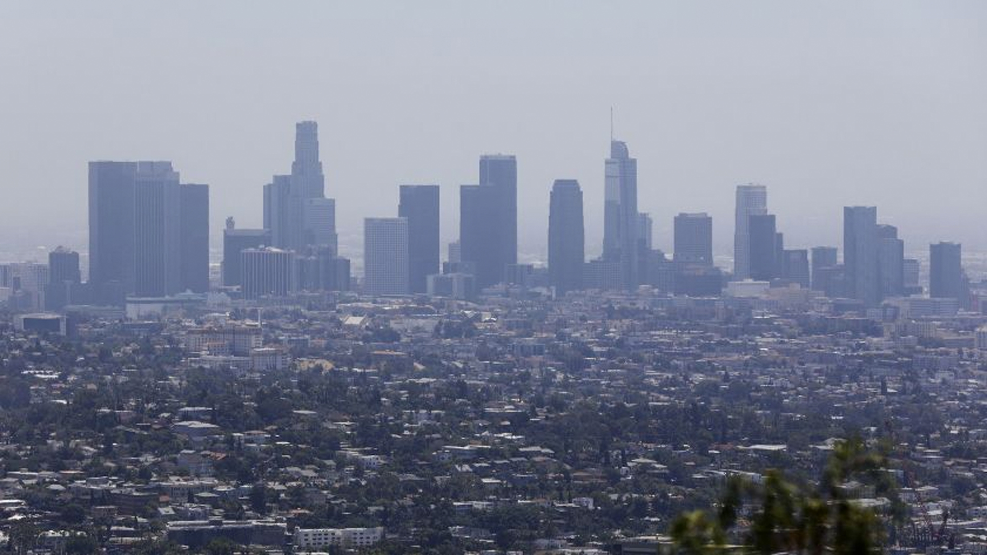 The downtown Los Angeles skyline is seen from Griffith Observatory in July 2019. (Credit: Christina House/Los Angeles Times)