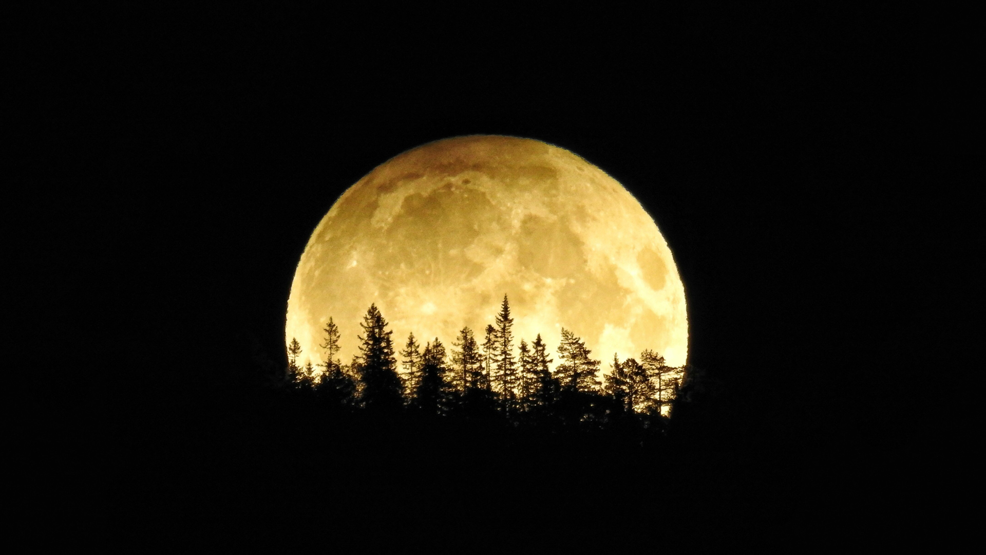 This harvest moon in 2016 is likely far bigger than the one most people will see the night of September 13. This year's harvest moon will appear 14% smaller than a typical full moon because it occurs when the moon is farthest from the Earth. (Credit: Lisbett Lindstad/CNN iReport)