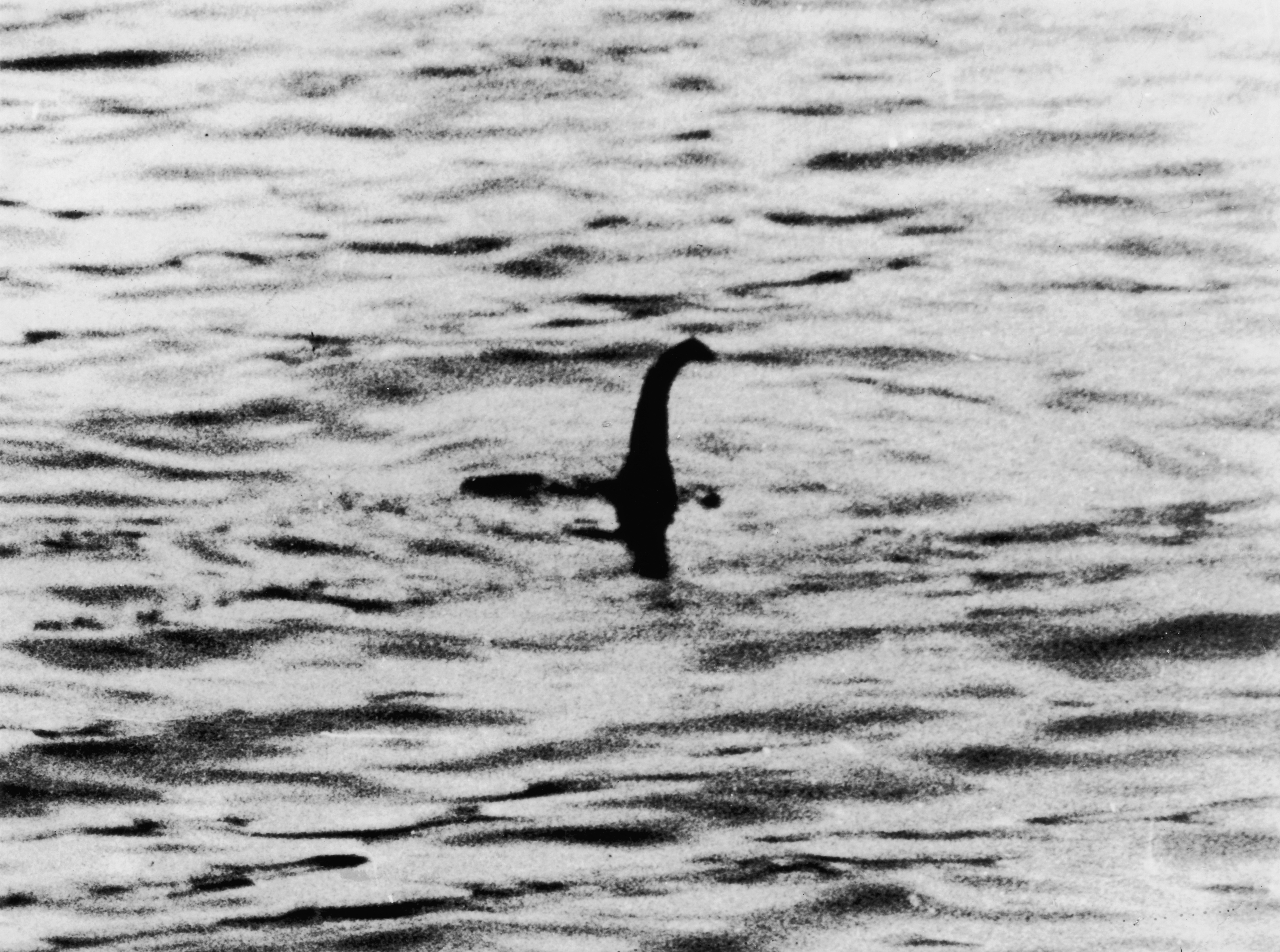 A view of the Loch Ness Monster, near Inverness, Scotland, April 19, 1934. The photograph was allegedly taken by Colonel Robert Kenneth Wilson, though it was later exposed as a hoax by one of the participants. (Credit: Keystone/Getty Images)