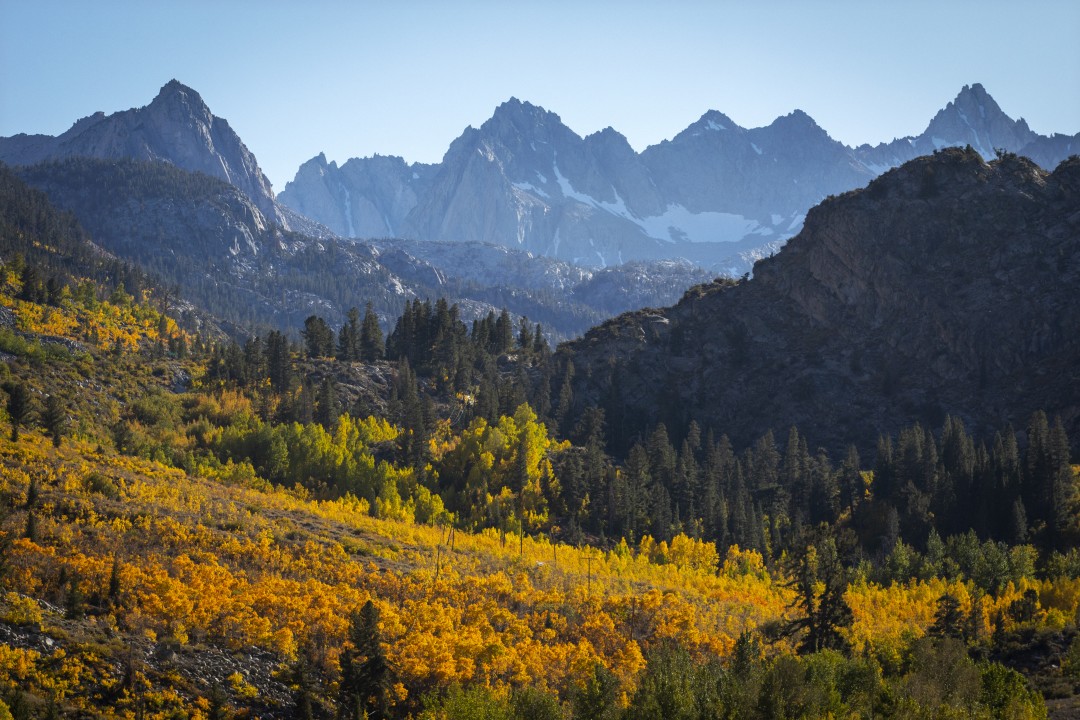 Fall colors are seen Oct. 6, 2019, above the Cardinal Village Resort in Inyo National Forest, west of Bishop. (Credit: Francine Orr / Los Angeles Times)