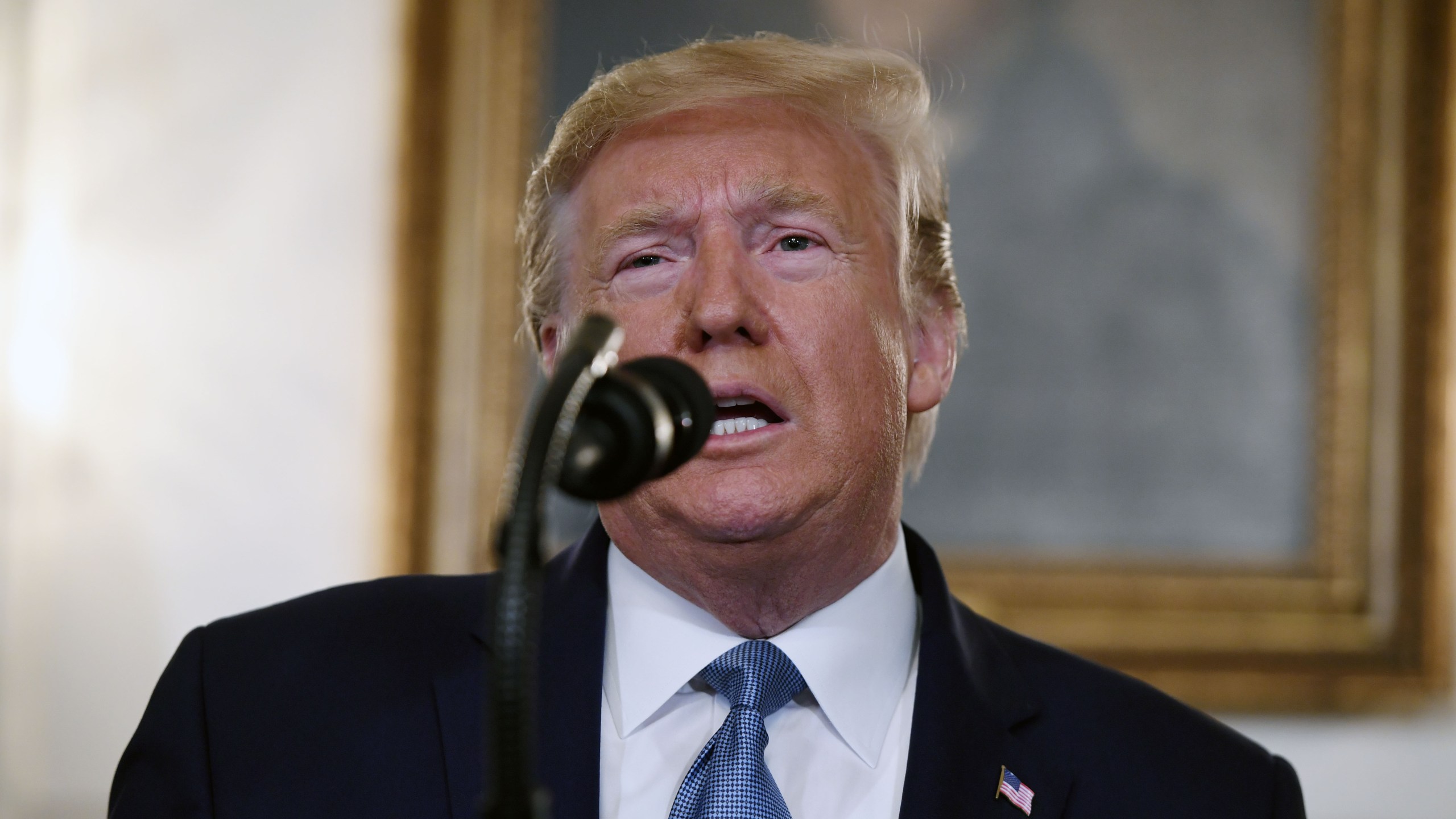 President Trump speaks about Syria in the Diplomatic Reception Room at the White House on October 23, 2019. (Credit: SAUL LOEB/AFP via Getty Images)