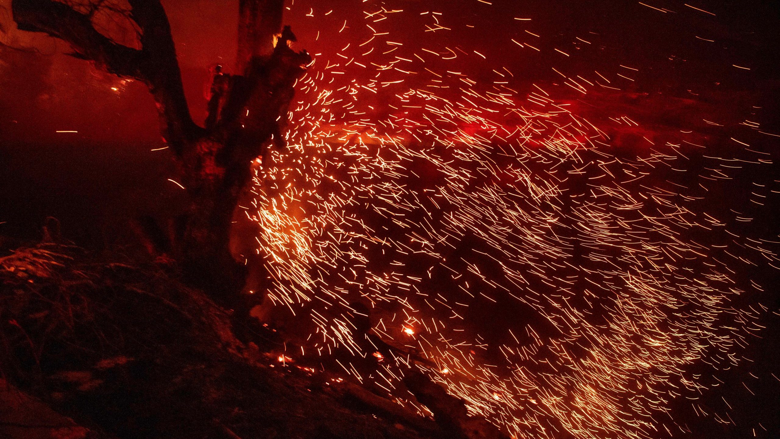 Embers fly off a tree during the Hillside Fire in the North Park neighborhood of San Bernardino on October 31, 2019. (Credit: EDELSON/AFP via Getty Images)