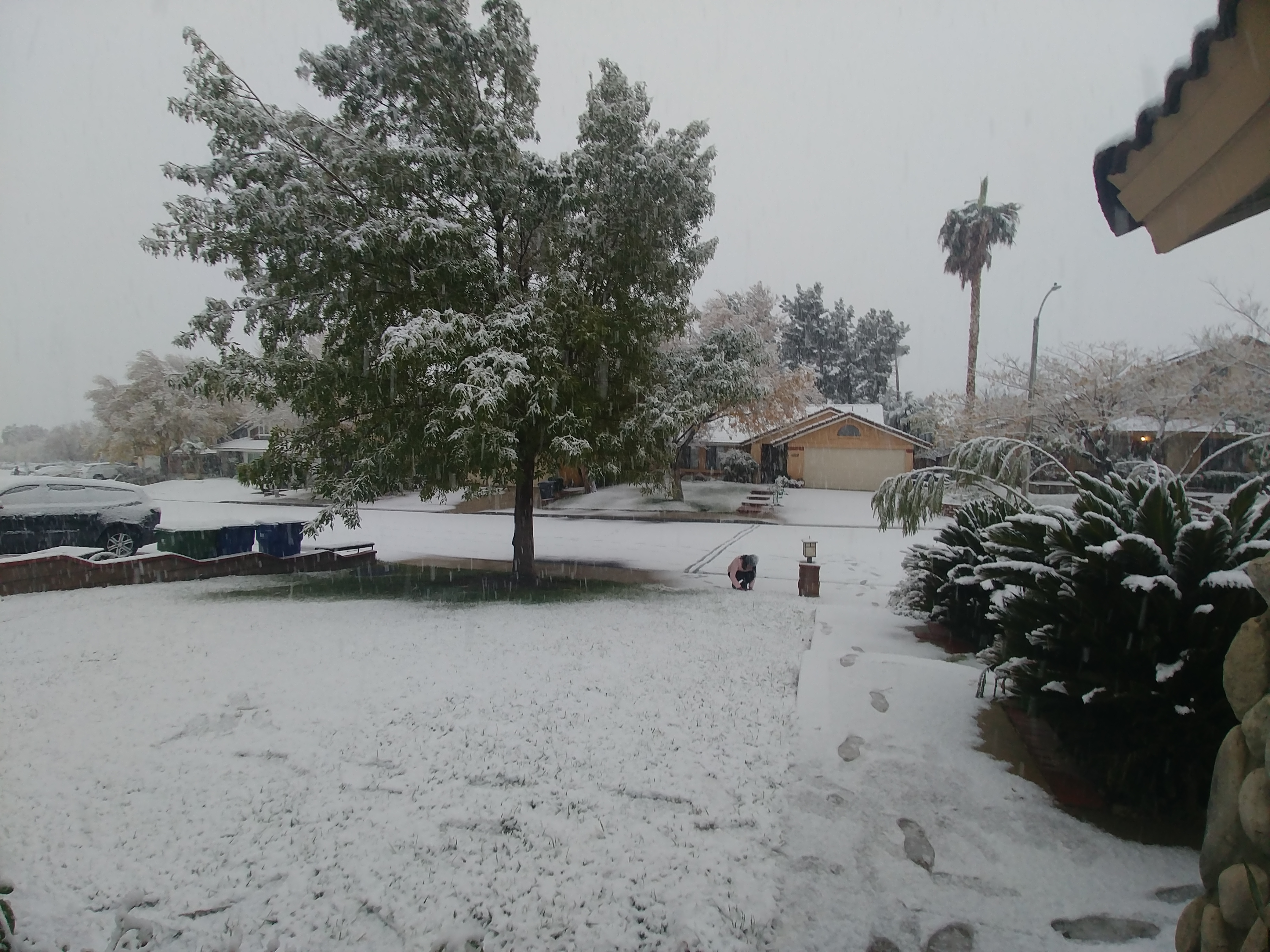 Snow is seen in Palmdale on Nov. 28, 2019. (Credit: Thomy Perez)