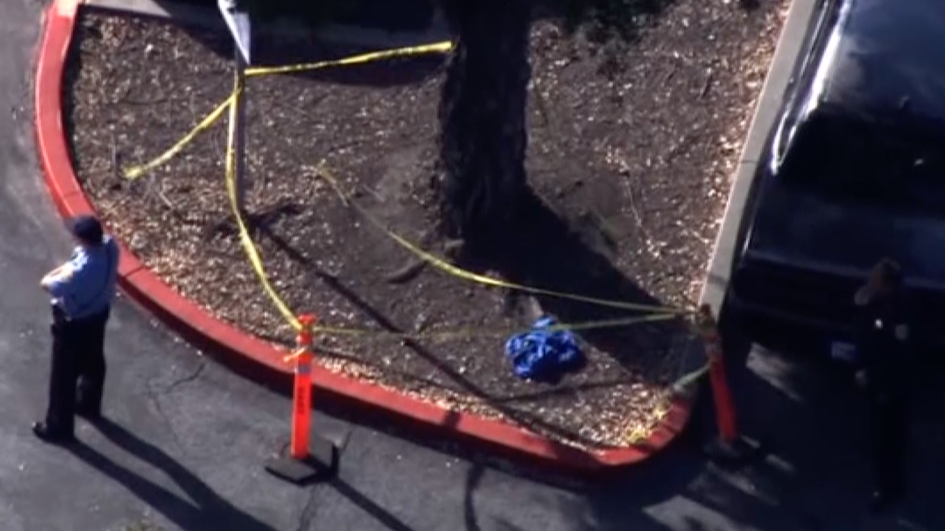 Authorities respond to the South Hayward BART Station to investigate a fatal stabbing aboard a transit train on Nov. 19, 2019. (Credit: KGO via CNN)