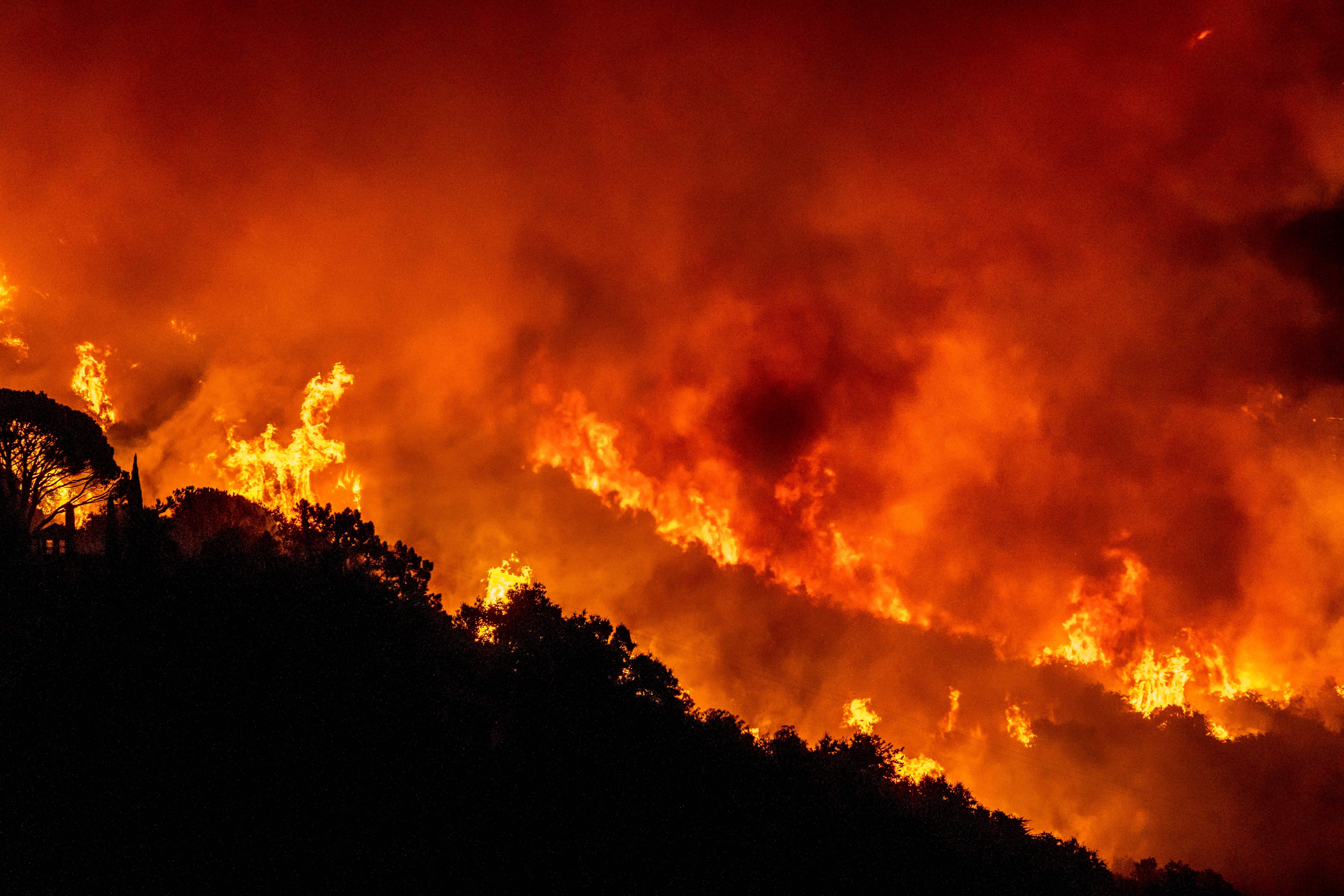 The Cave Fire burns a hillside near homes north of Santa Barbara early on Nov. 26, 2019. (Credit: Kyle Grillot / AFP / Getty Images)