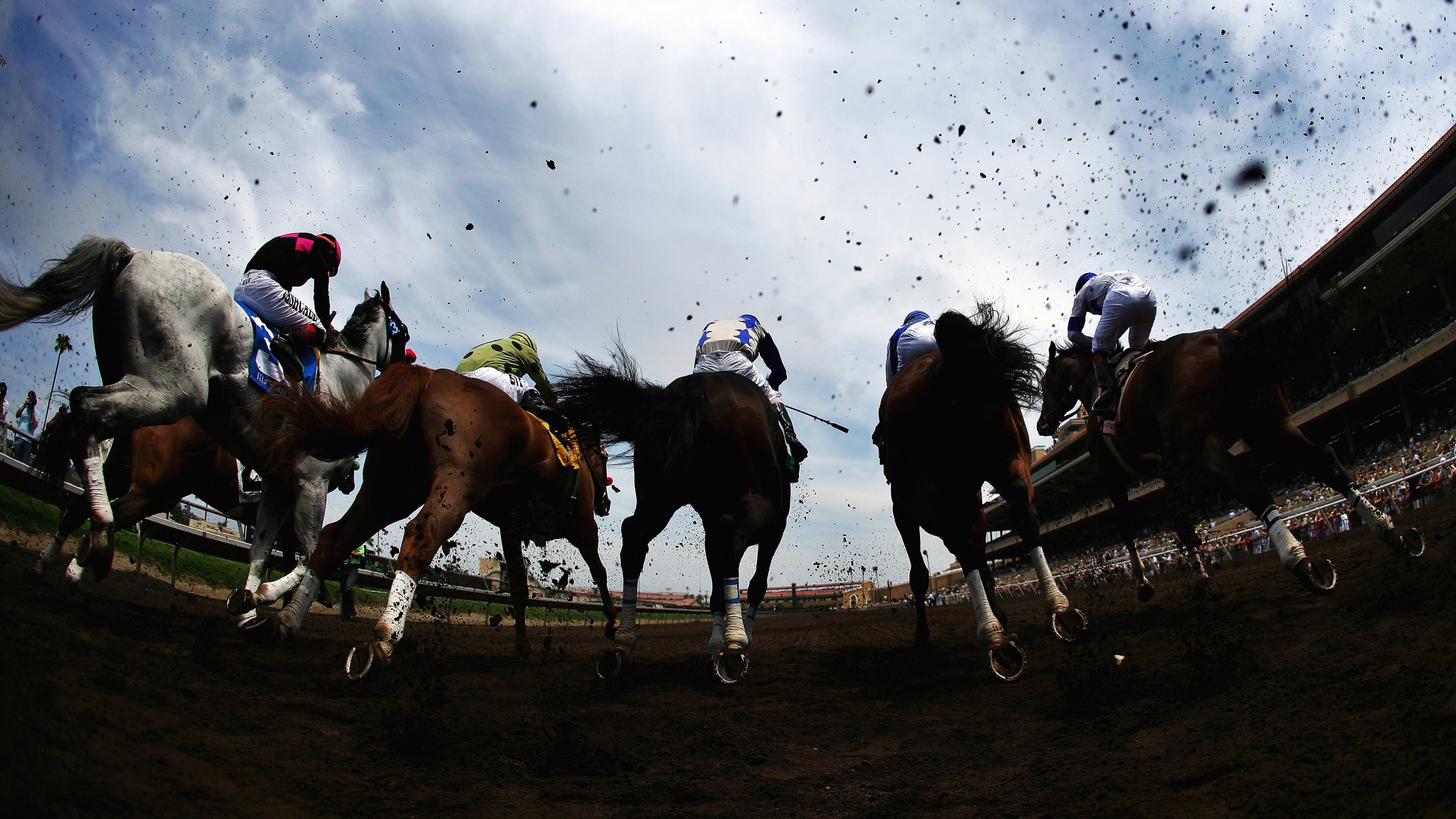 A general view of the horses breaking at the gate at the Del Mar Racetrack on July 19, 2006. (Credit: Donald Miralle/Getty Images)