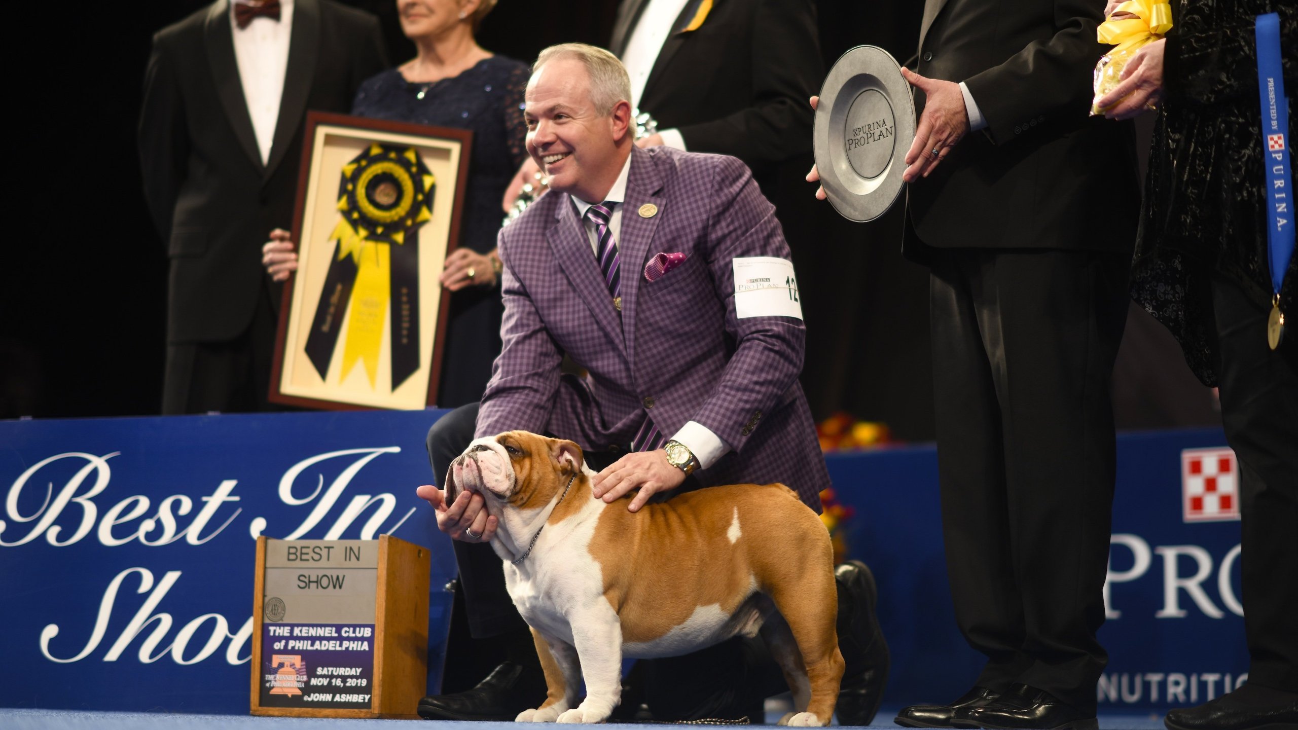 A Bulldog named Thor poses for a photo after winning "Best in Show" at the Greater Philadelphia Expo Center. (Credit: Mark Makela/Getty Images via CNN)