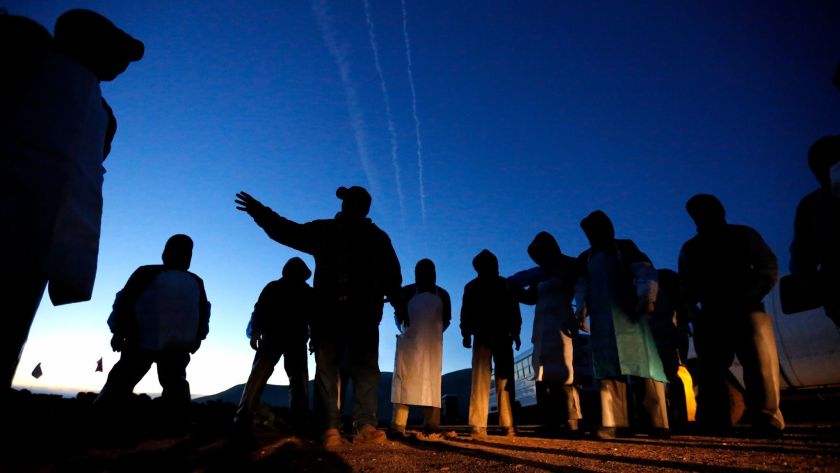 California farmworkers are seen in this undated photo. (Credit: Gary Coronado / Los Angeles Times)