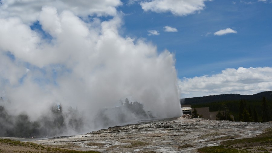 Old Faithful geyser erupts in Yellowstone National Park on June 11, 2019. (Credit:DANIEL SLIM/Getty)