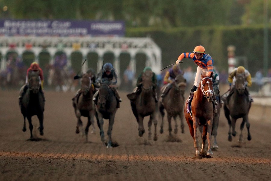 Jockey Irad Ortiz Jr. aboard Vino Rosso reacts after winning the Breeders' Cup Classic race at Santa Anita Park on Nov. 2, 2019. (Credit: Sean M. Haffey / Getty Images)