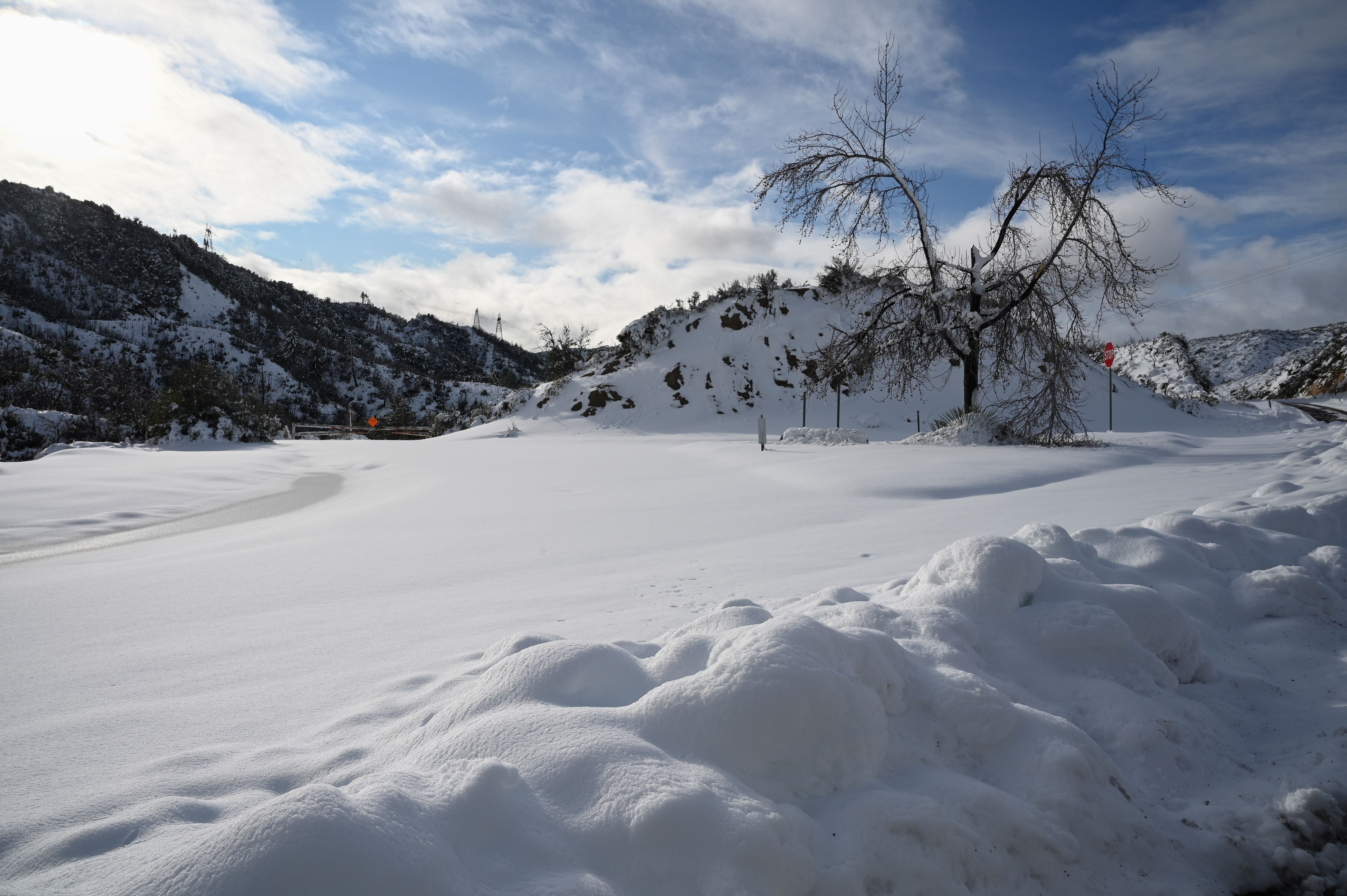 Snow blankets the Angeles National Forest north of Los Angeles, California Dec. 26, 2019. (Credit: Robyn Beck / Getty)