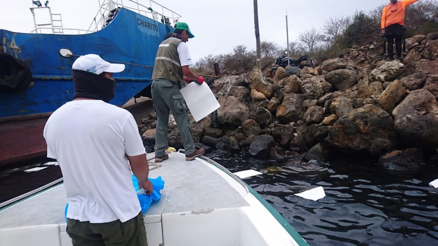 This image from the Galapagos Park Twitter account shows the aftermath of the accident. (Credit: Parque Galapagos Twitter)