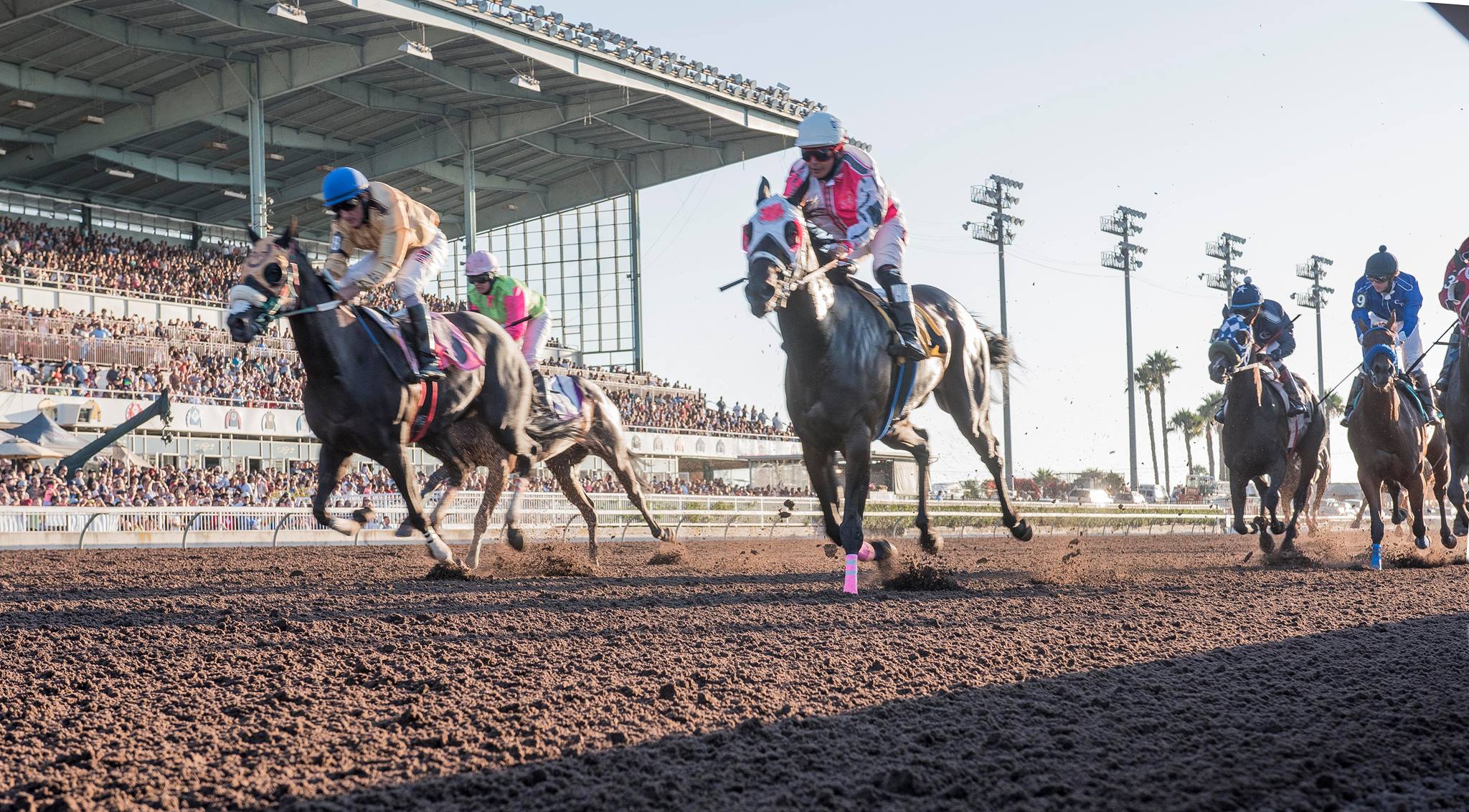 A race is seen in this photo posted on the Los Alamitos Race Track's Facebook page in July 2016.